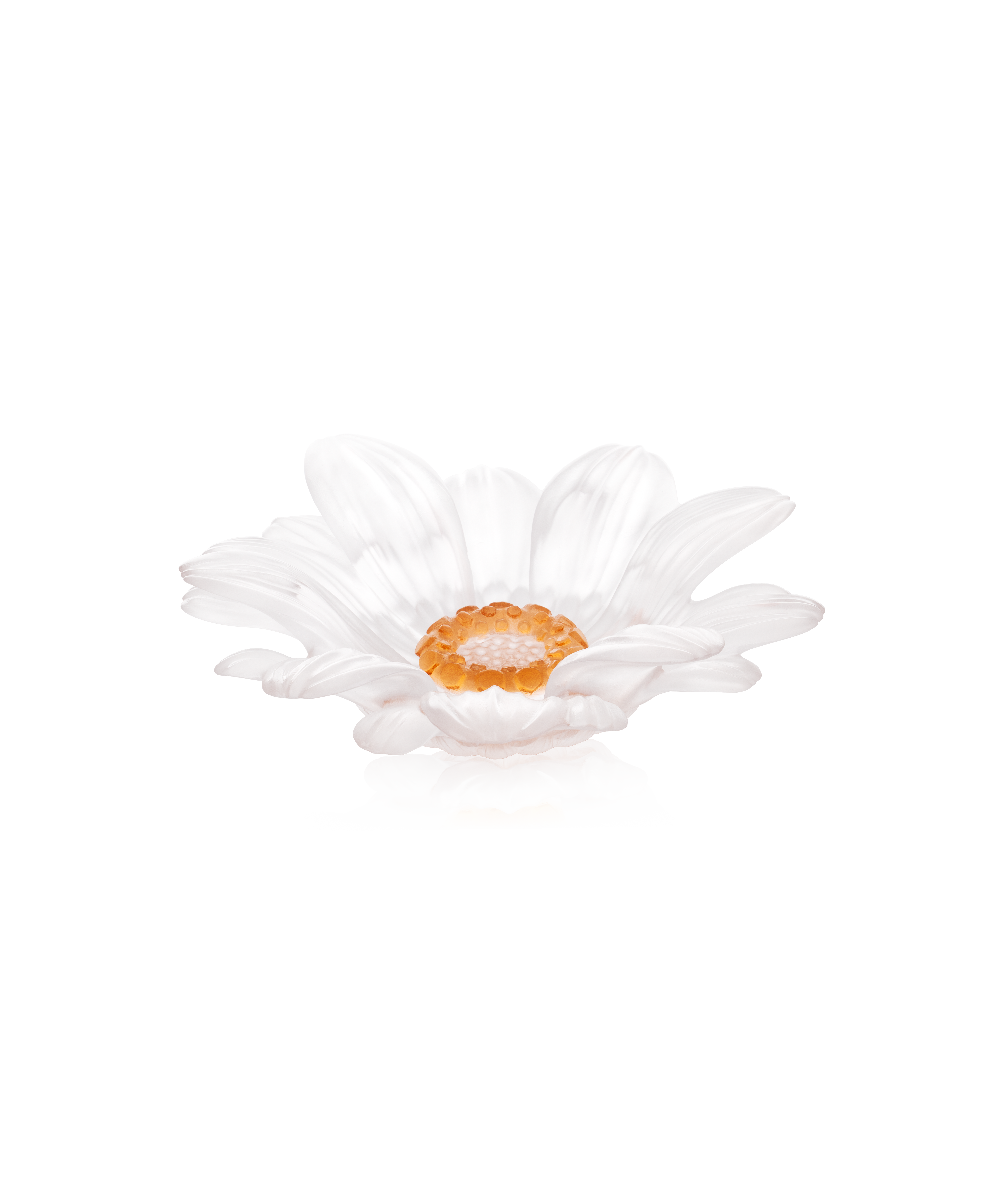 daum-art-de-la-table-or-d-abeille-fleur-pr-sentation-pm-blanche image 1