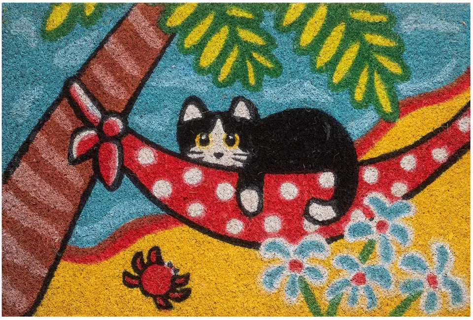 baroni-home-paillasson-coco-chat-la-plage-60x40-cm image 1
