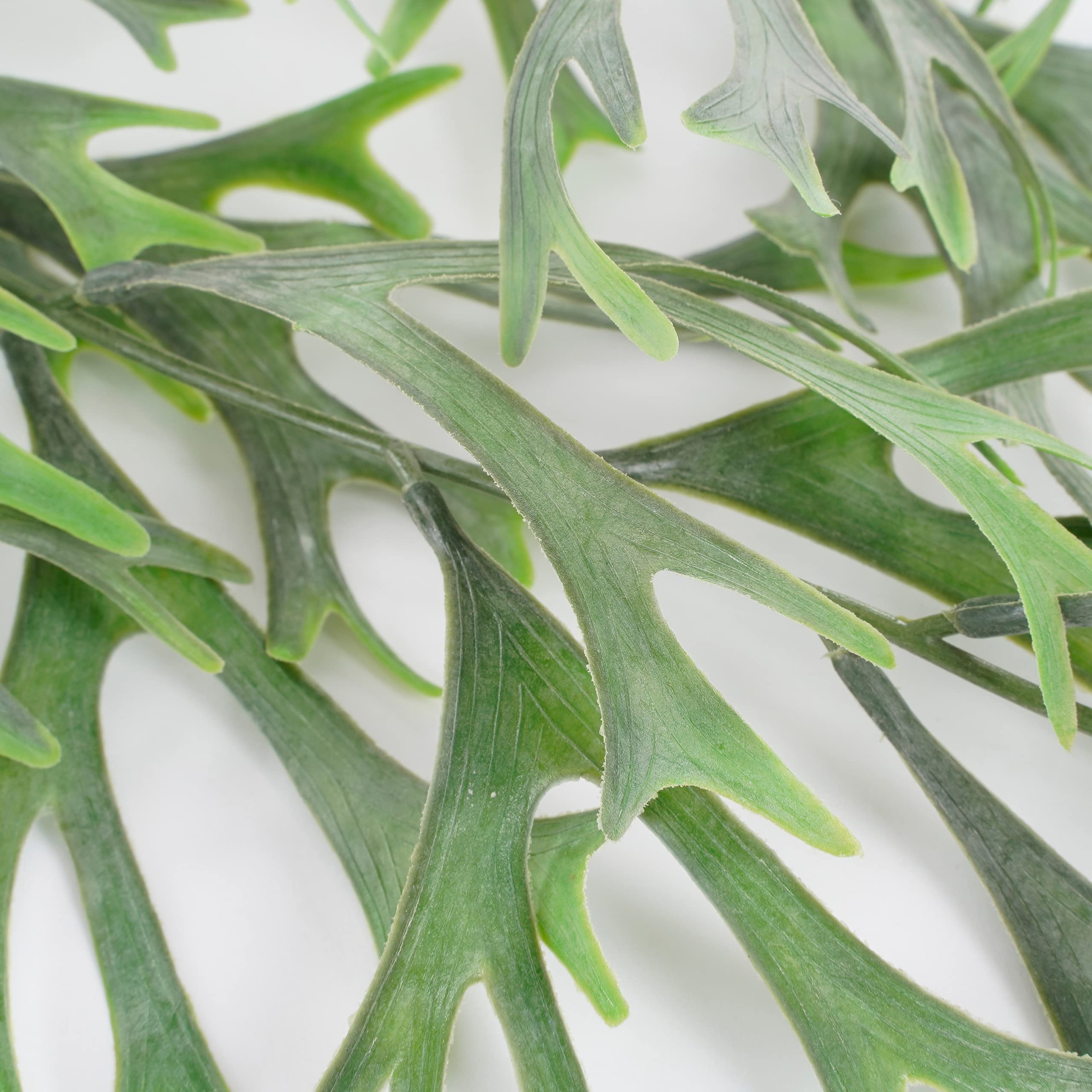 mica-decorations-citronella-plante-artificielle-verte-84cm image 2