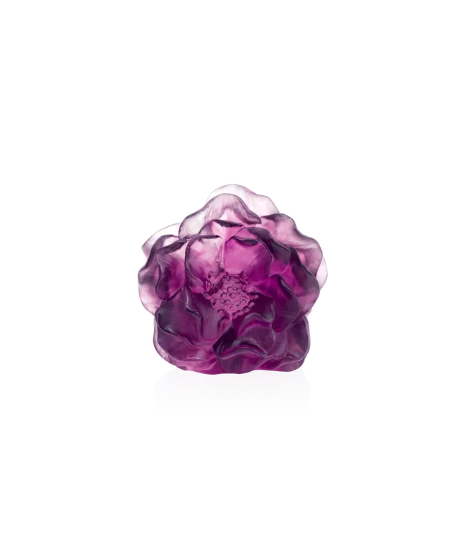 daum-univers-v-g-tal-camelia-fleur-d-corative-violette image 1