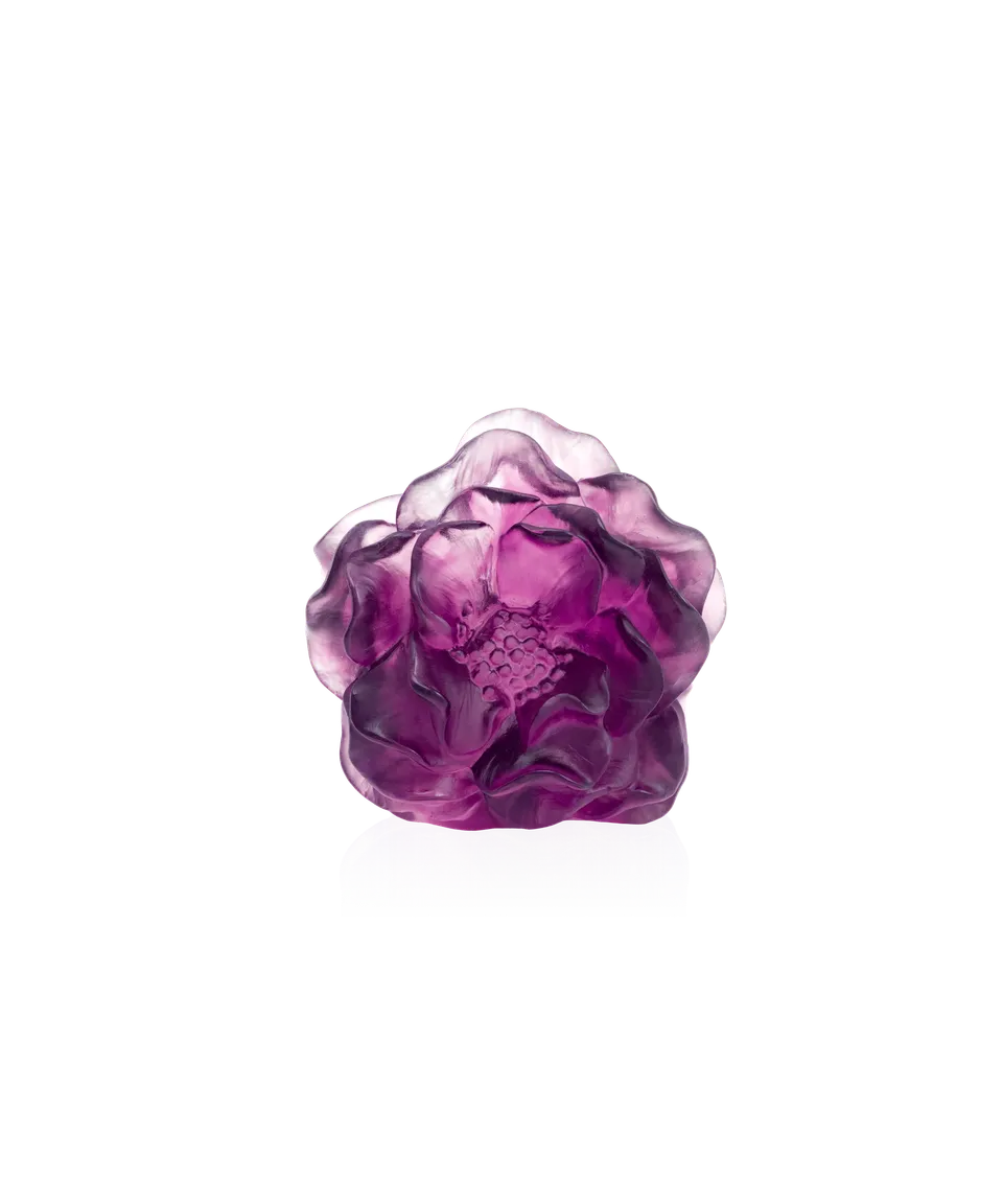 daum-univers-v-g-tal-camelia-fleur-d-corative-violette image 1