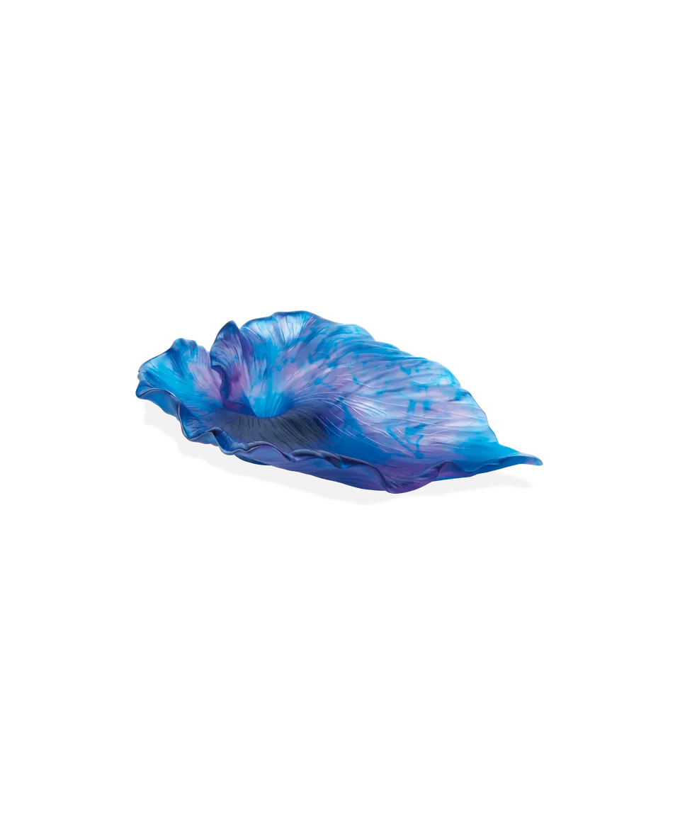 daum-univers-v-g-tal-arum-coupe-bleu-nuit-p-te-de-verre image 1