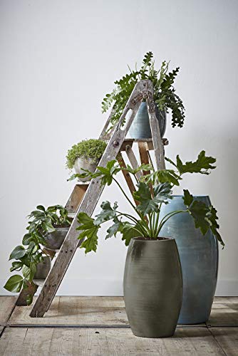 mica-decorations-lester-vase-rond-vert-50-x-30-cm image 7