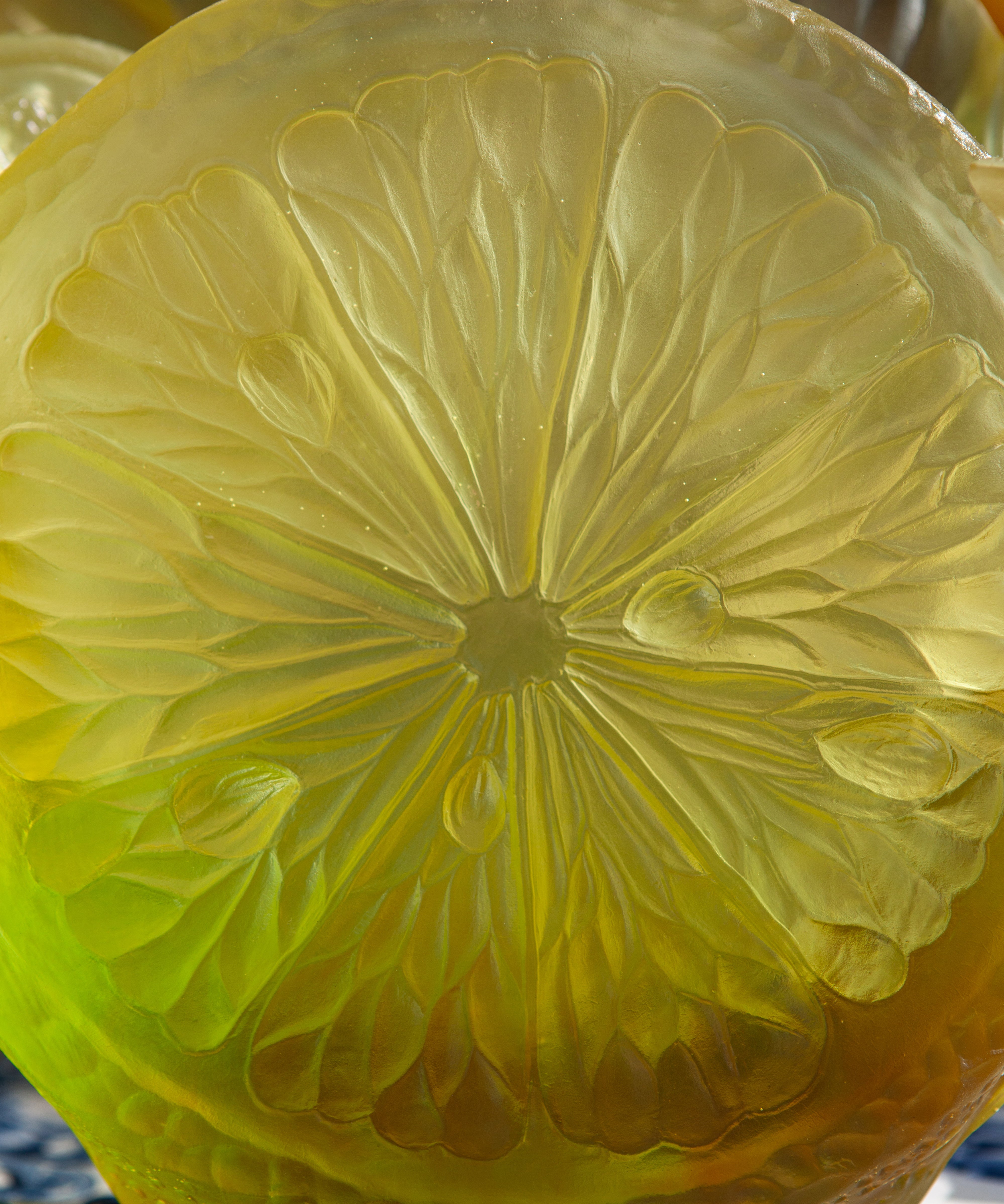 daum-univers-v-g-tal-citrus-vase-moyen-225ex-p-te-de-verre image 4