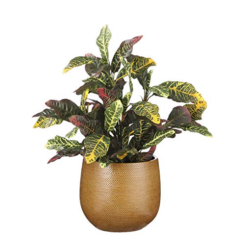 mica-gabriel-pot-de-fleurs-c-ramique-ocre-h25-x-29-cm image 7