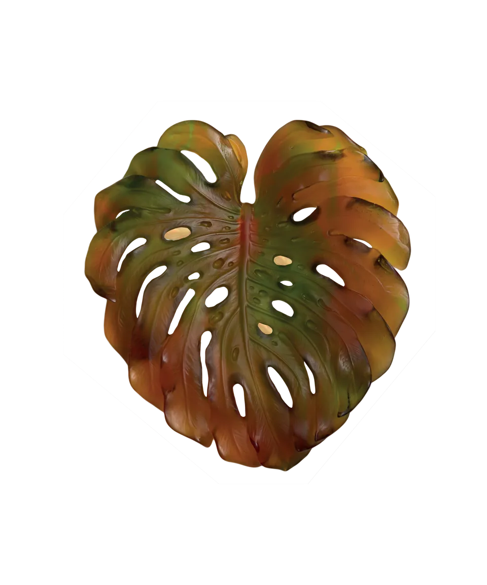 daum-univers-v-g-tal-monstera-feuille-murale-ambre-petit-mod-le-2 image 1