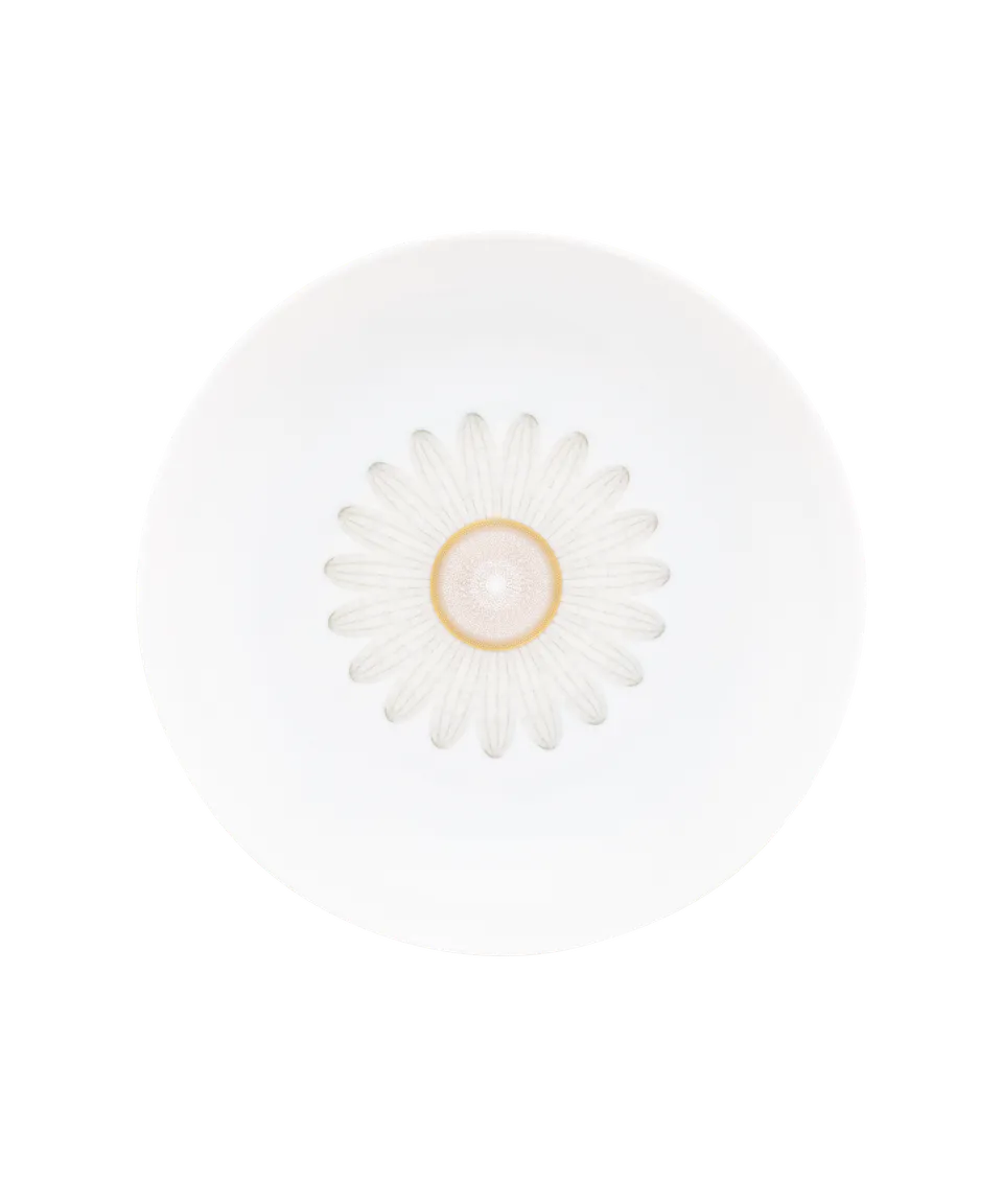 daum-art-de-la-table-or-d-abeille-assiettes-creuses-coffret-2-porcelaine image 1