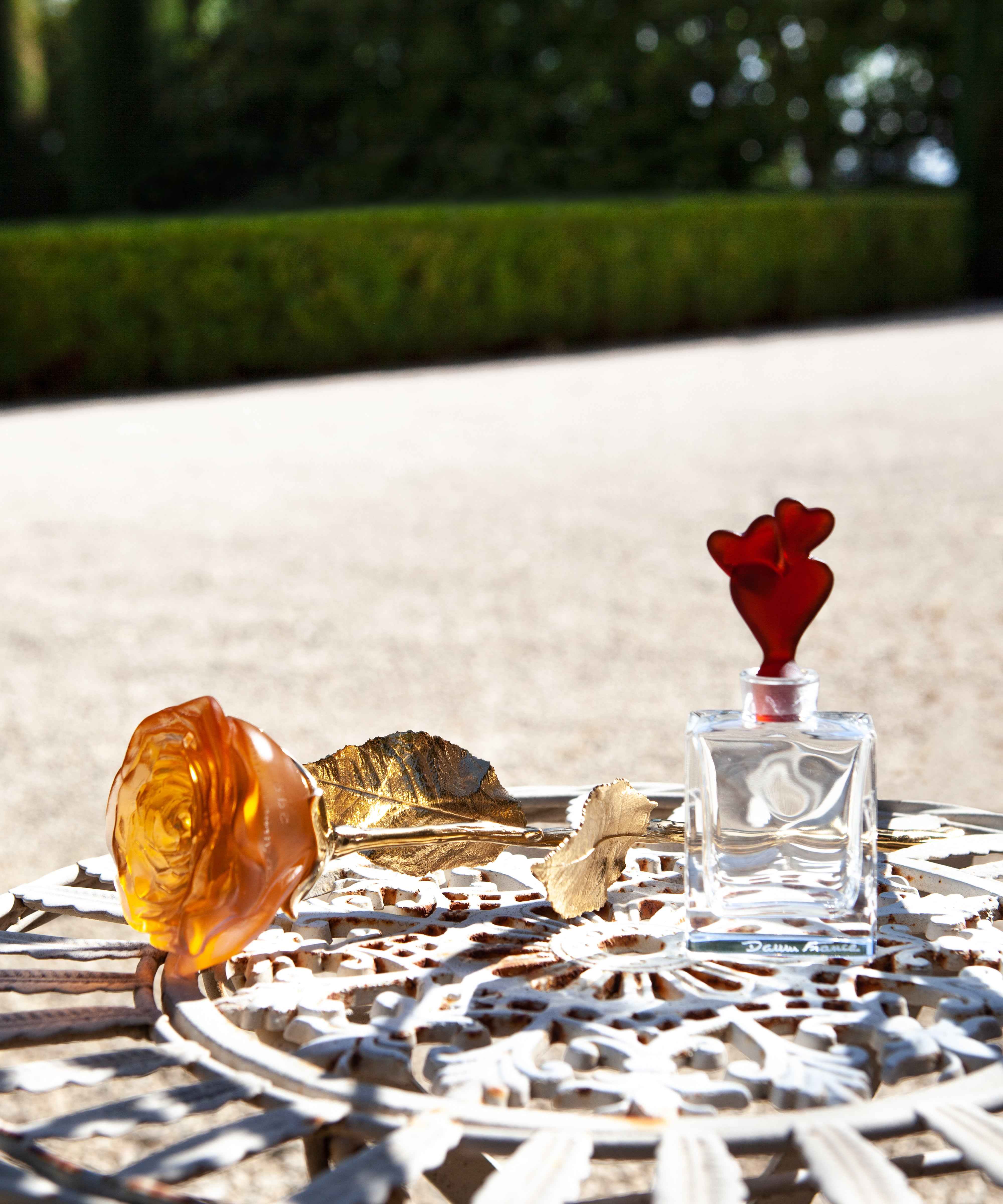 daum-univers-v-g-tal-rose-eternelle-orange-cristal image 5
