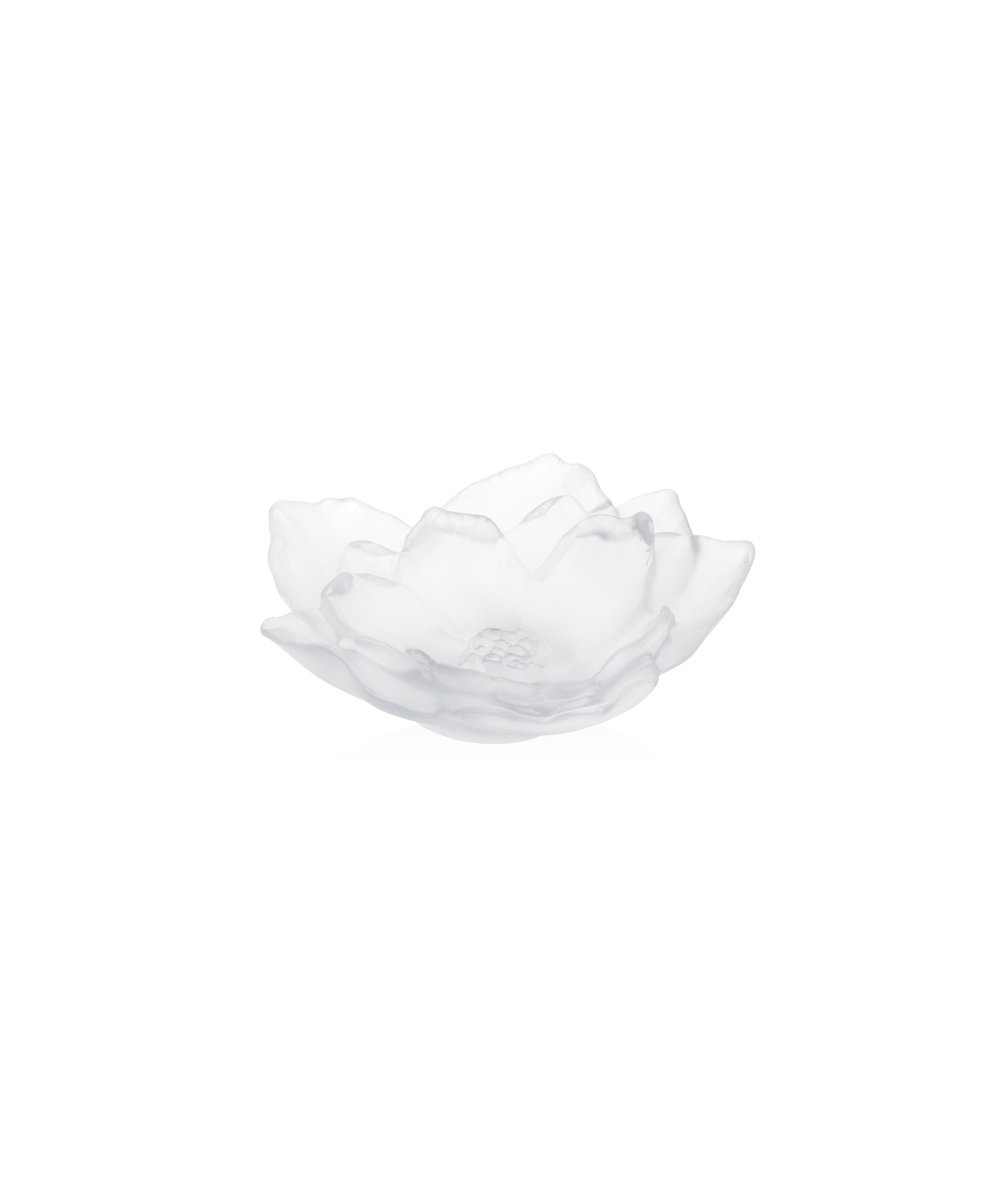 daum-camelia-coupe-petit-mod-le-blanche-cristal image 1