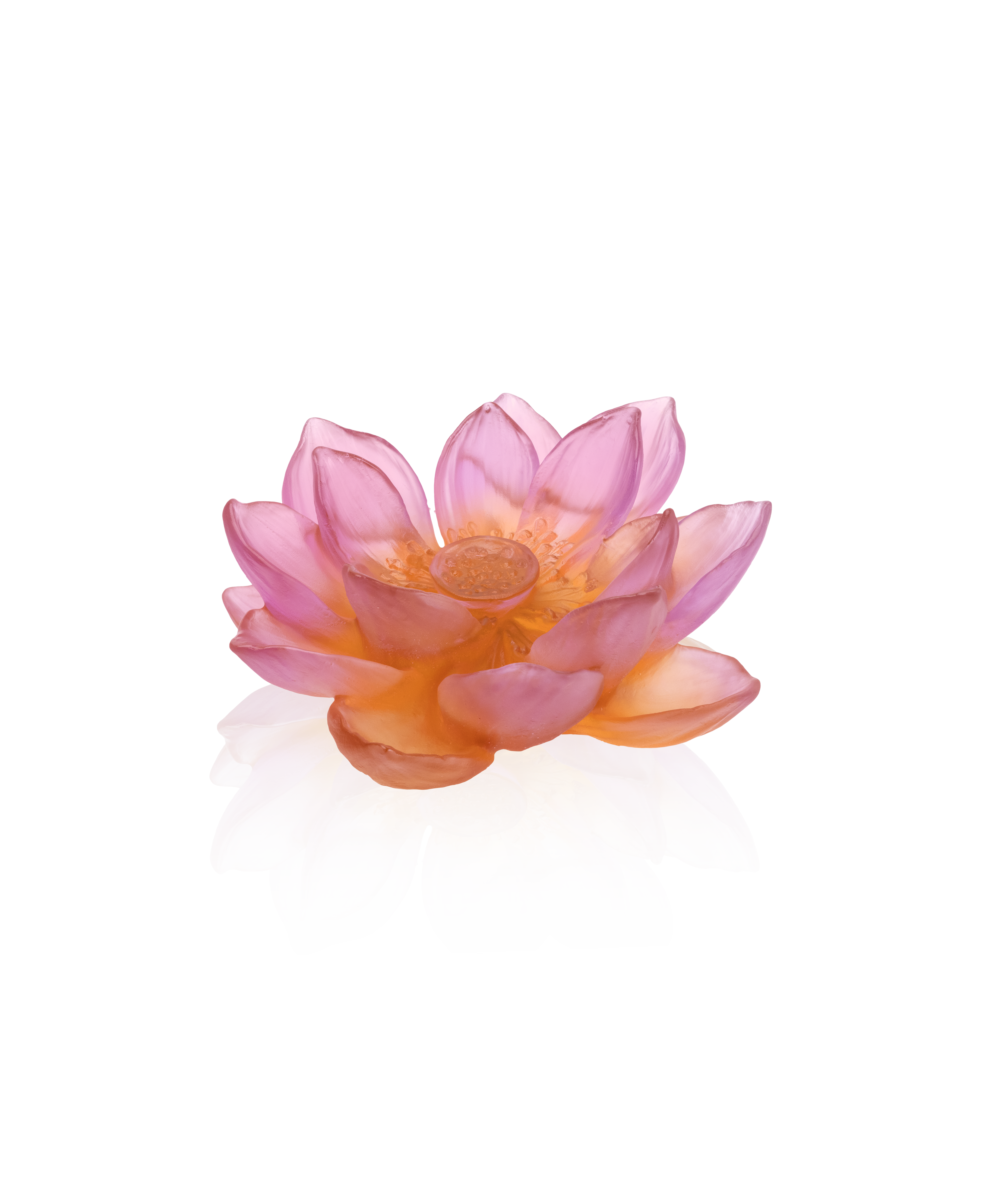 daum-jardin-de-lotus-fleur-ambre-rose-cristal image 1