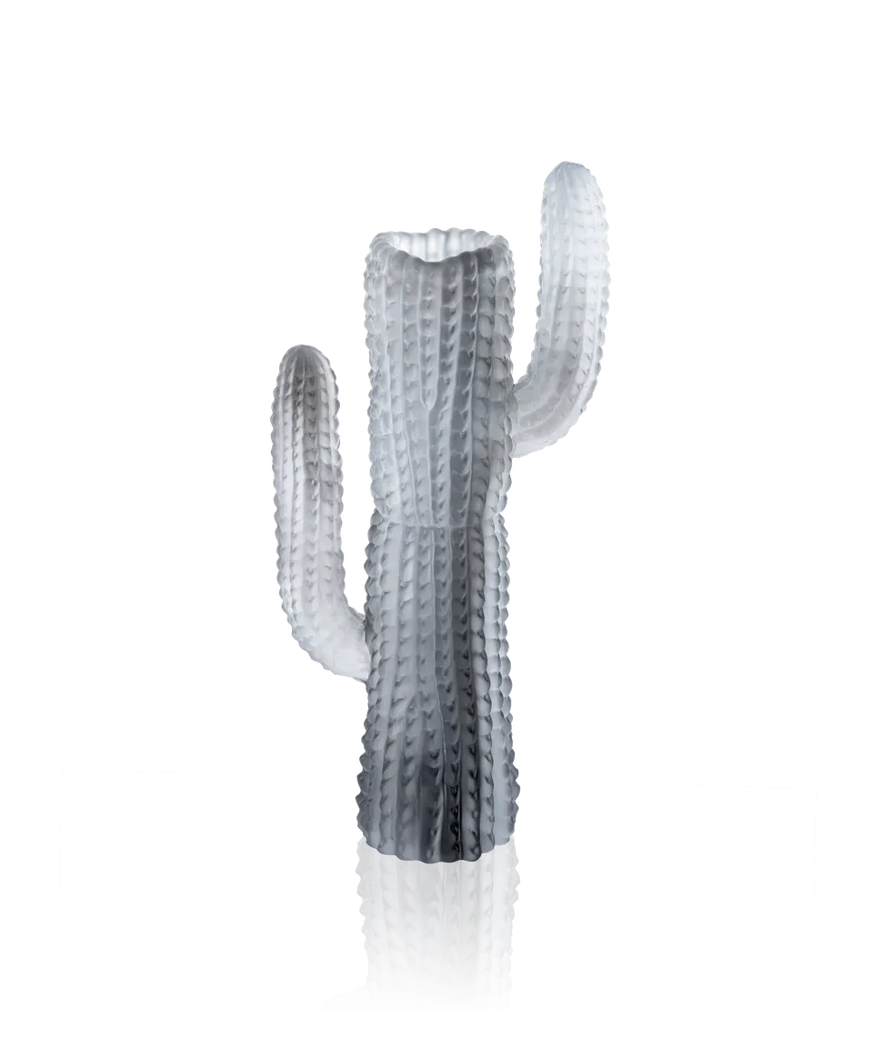 daum-jardin-de-cactus-vase-gris-emilio-robba image 1