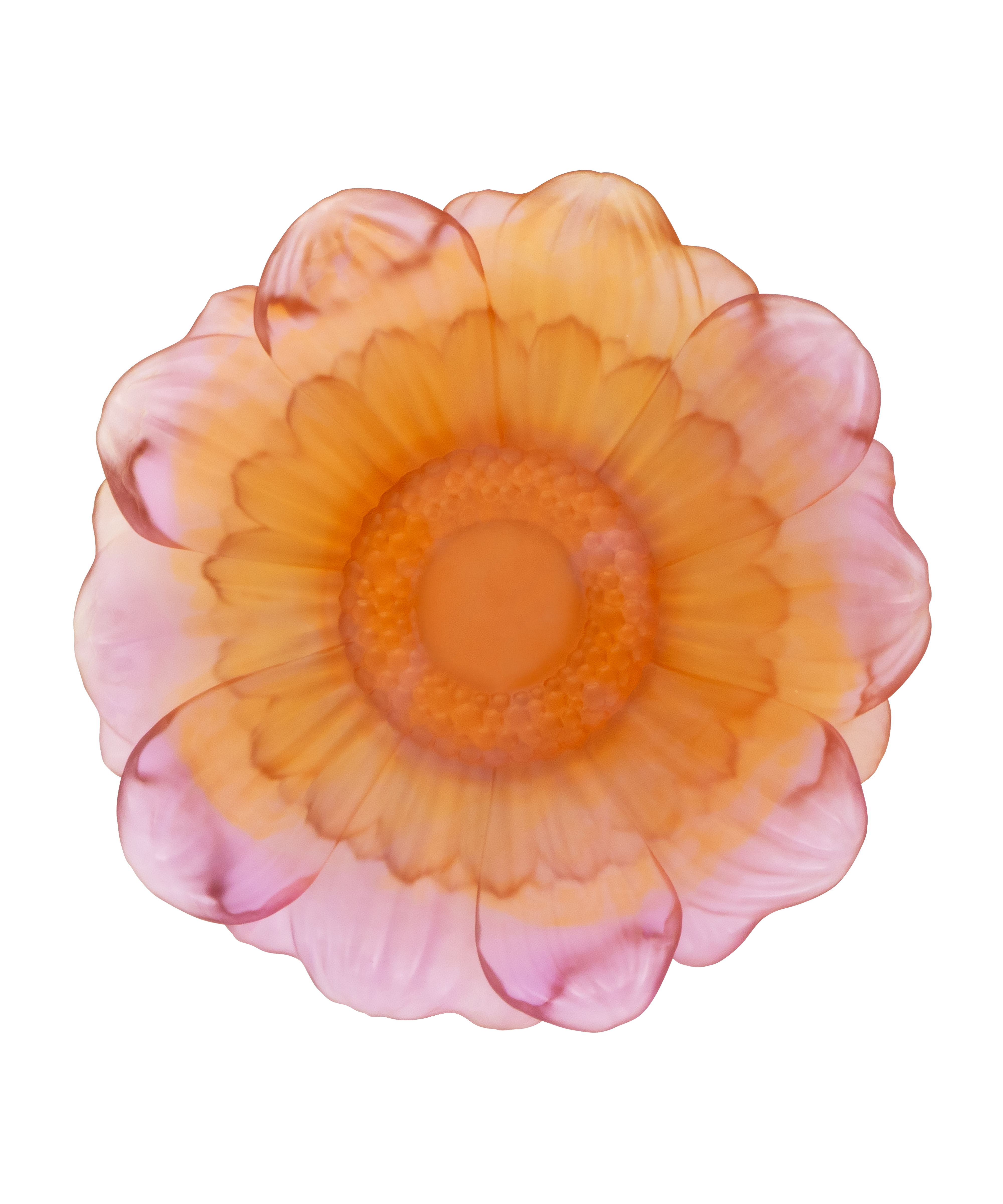 daum-or-d-abeille-fleur-de-pr-sentation-coupelle-ambre-rose image 2