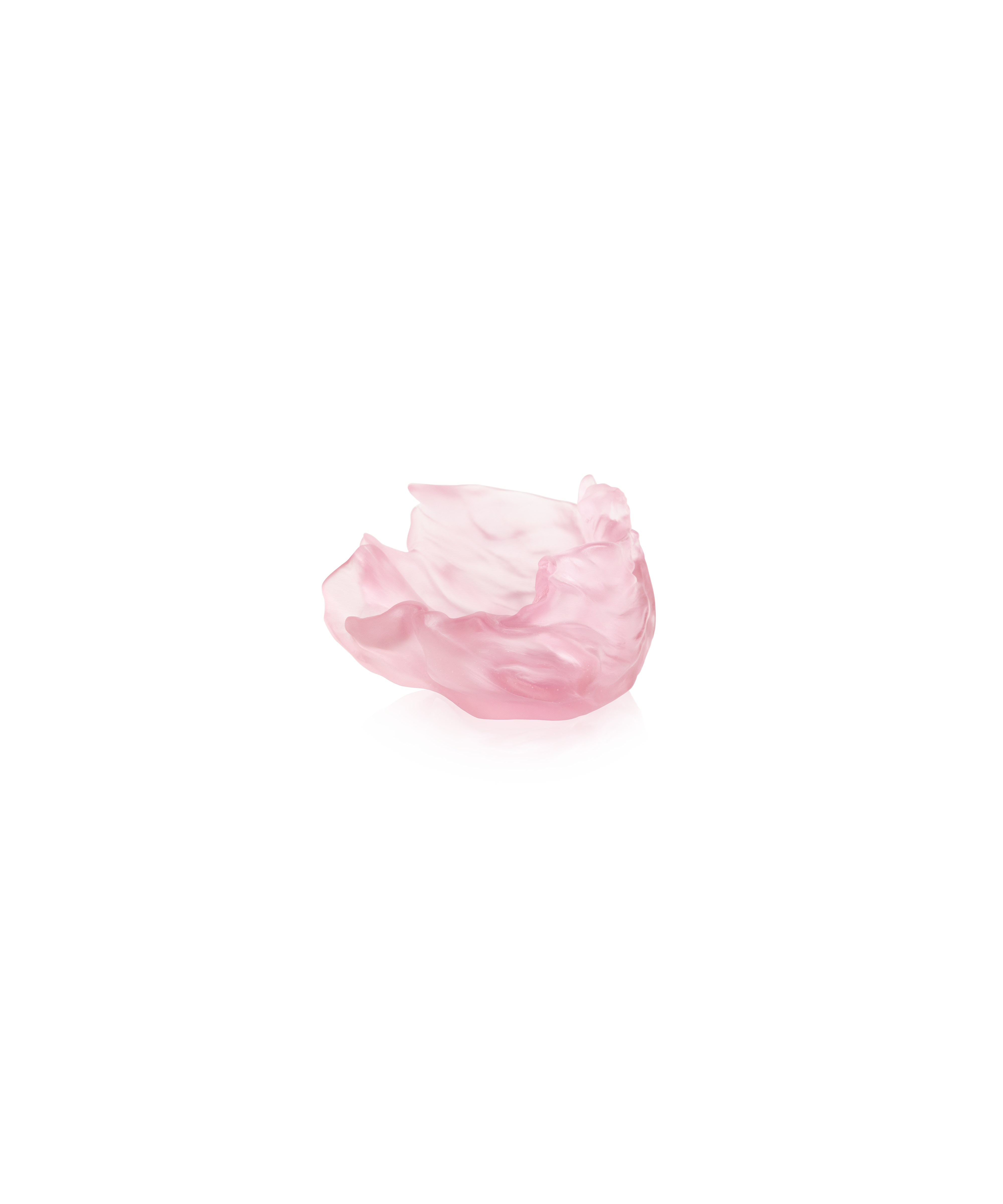 daum-po-tique-tamara-ralph-coupelle-rose-poudr-250ex image 3
