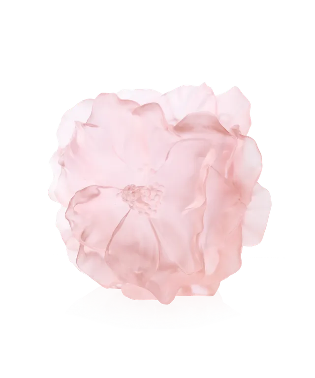daum-univers-v-g-tal-camelia-vase-grand-mod-le-rose image 1