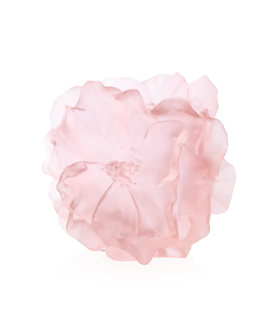 daum-univers-v-g-tal-camelia-vase-grand-mod-le-rose image 1