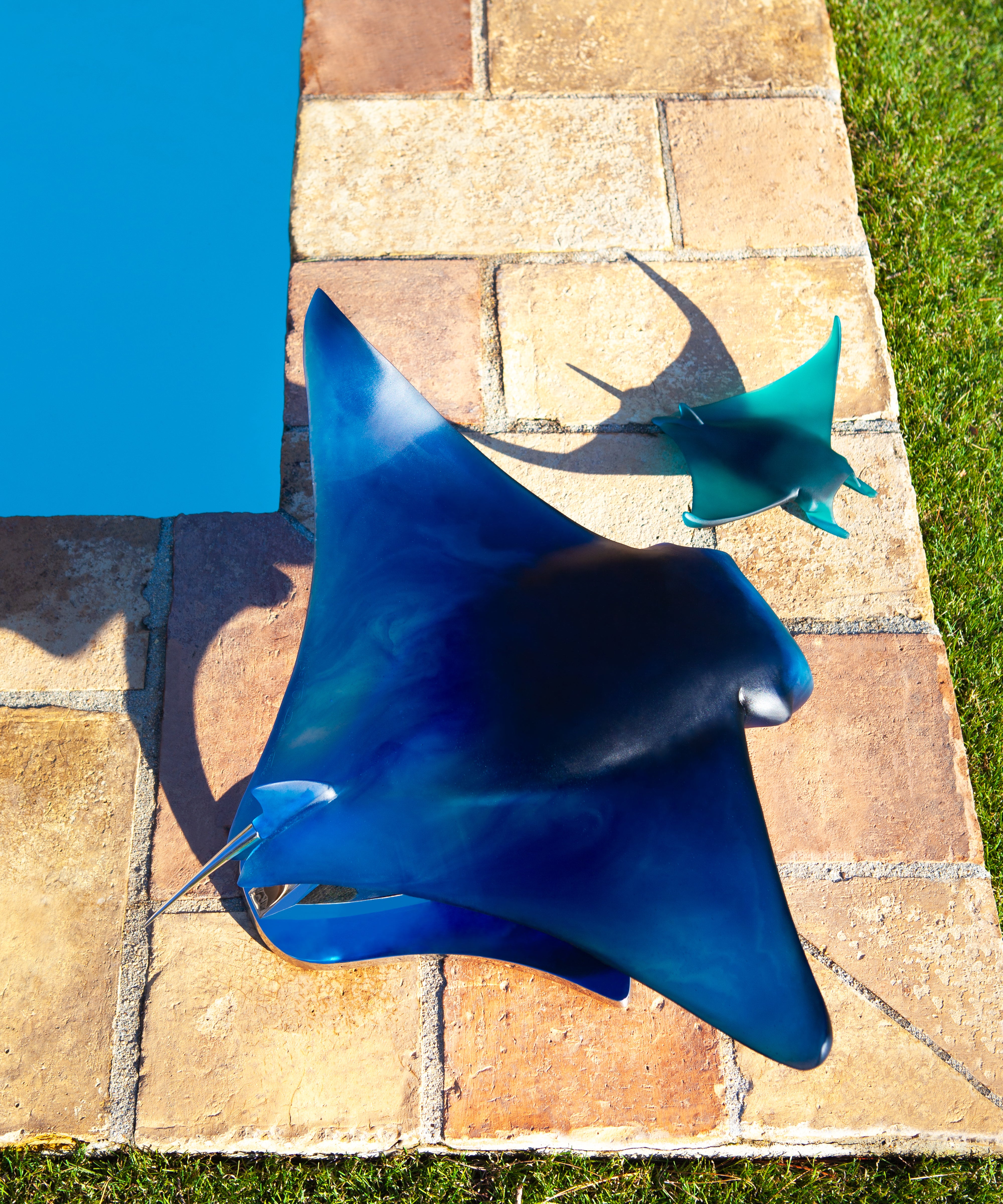 daum-univers-animalier-raie-manta-sculpture-xl-nuzzo image 2