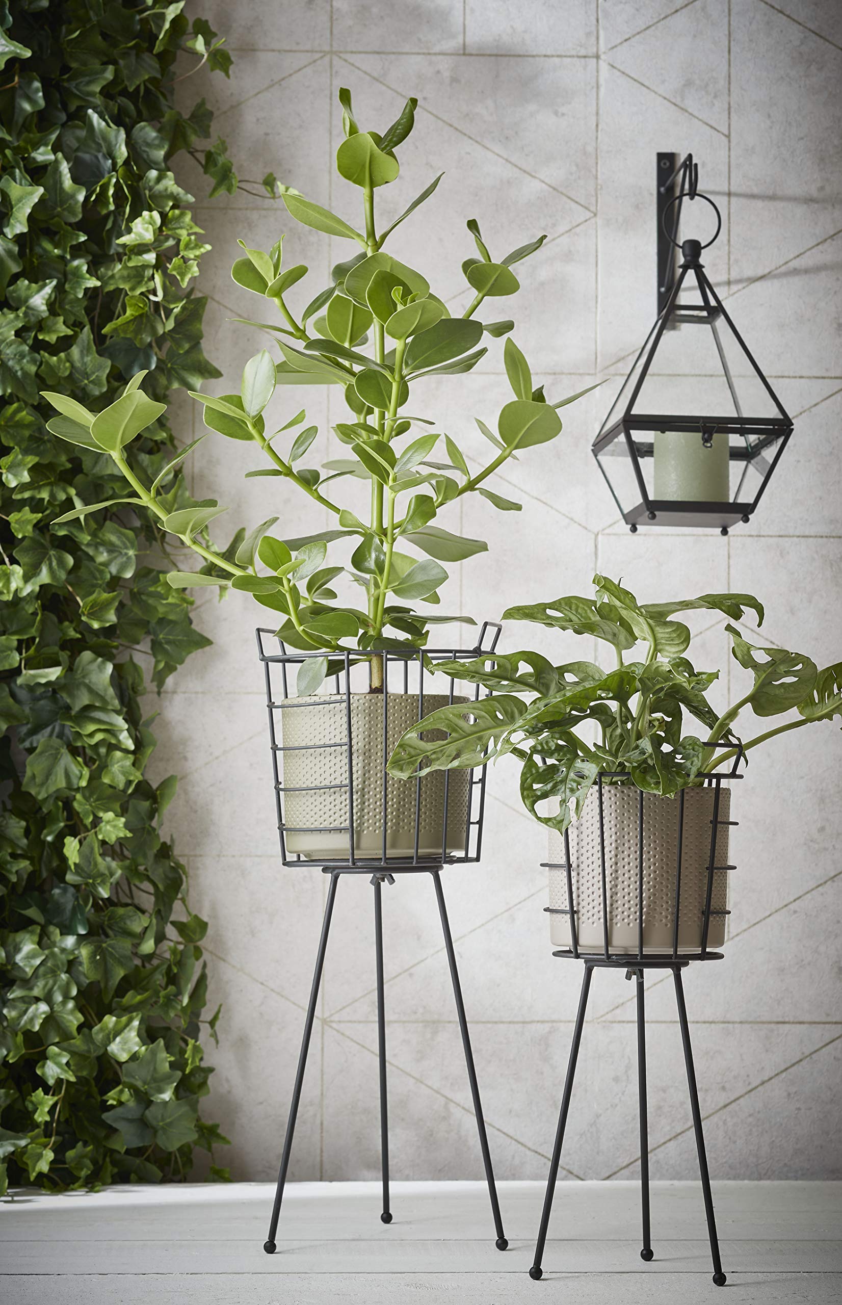 mica-decorations-era-pot-rond-fleurs-1061608 image 5
