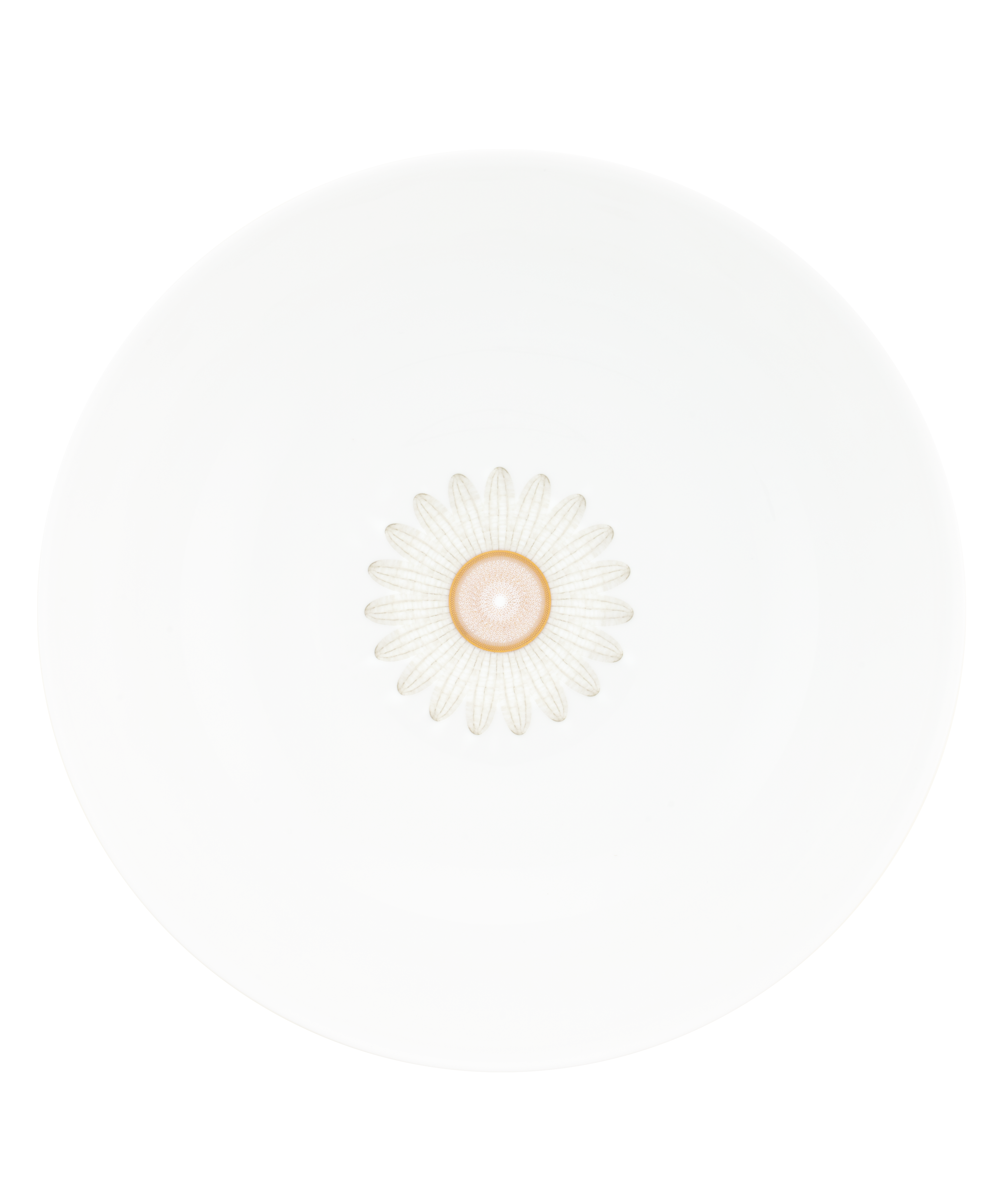 daum-art-de-la-table-or-d-abeille-saladier-porcelaine image 2