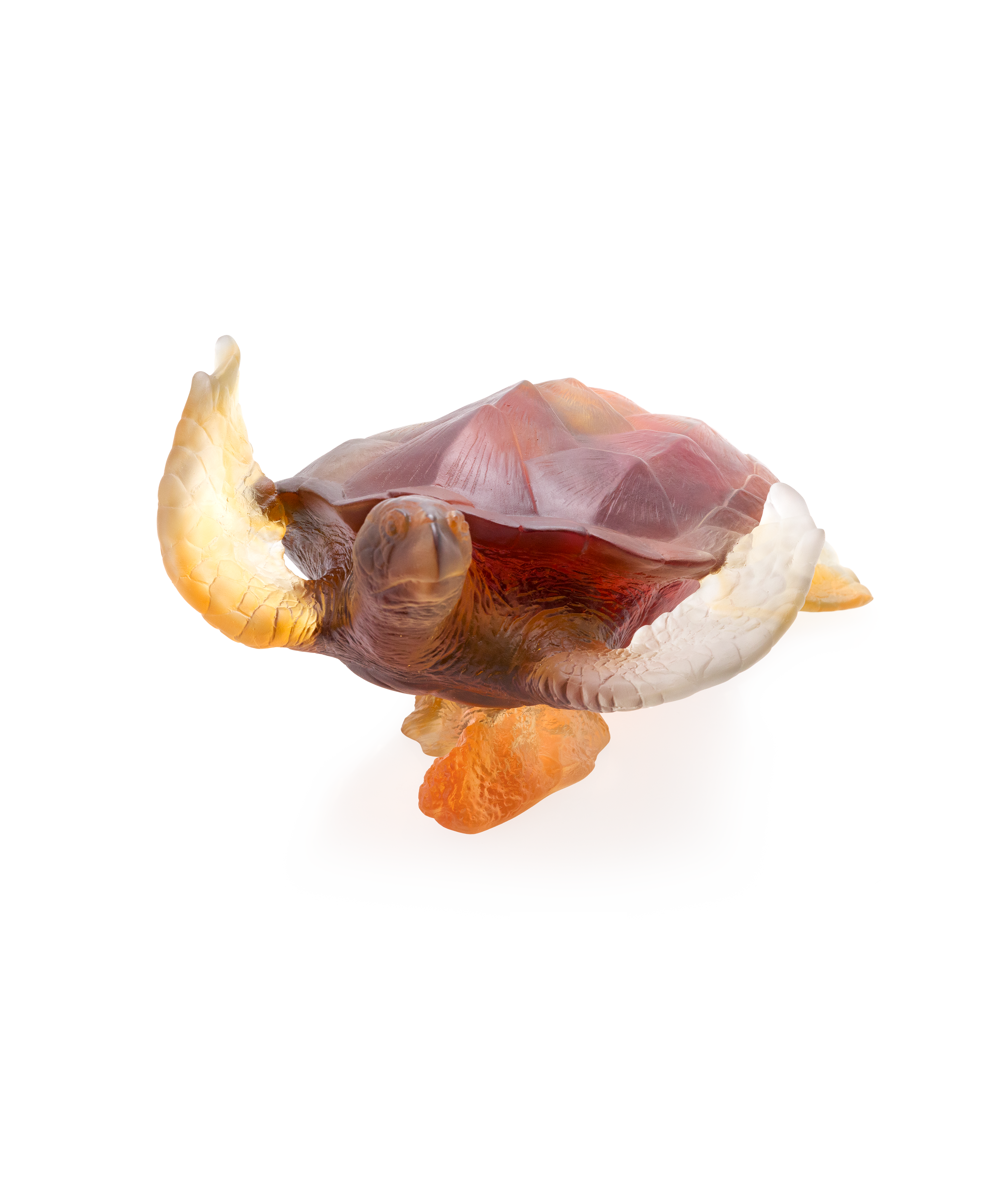 daum-univers-animalier-mer-de-corail-tortue-de-mer-sculpture-ambre image 3