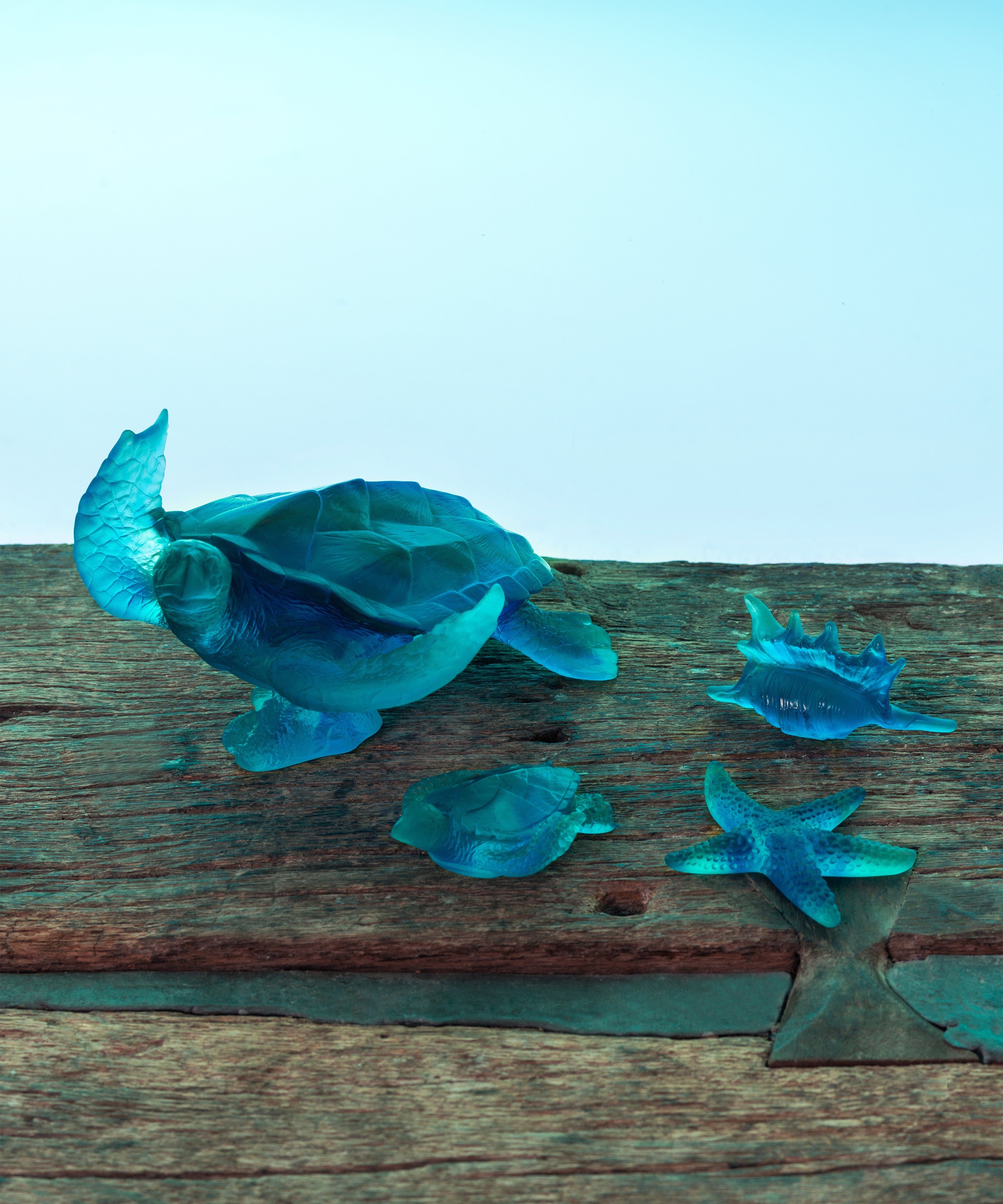 daum-mer-de-corail-coquillage-sculpture-petit-mod-le image 2