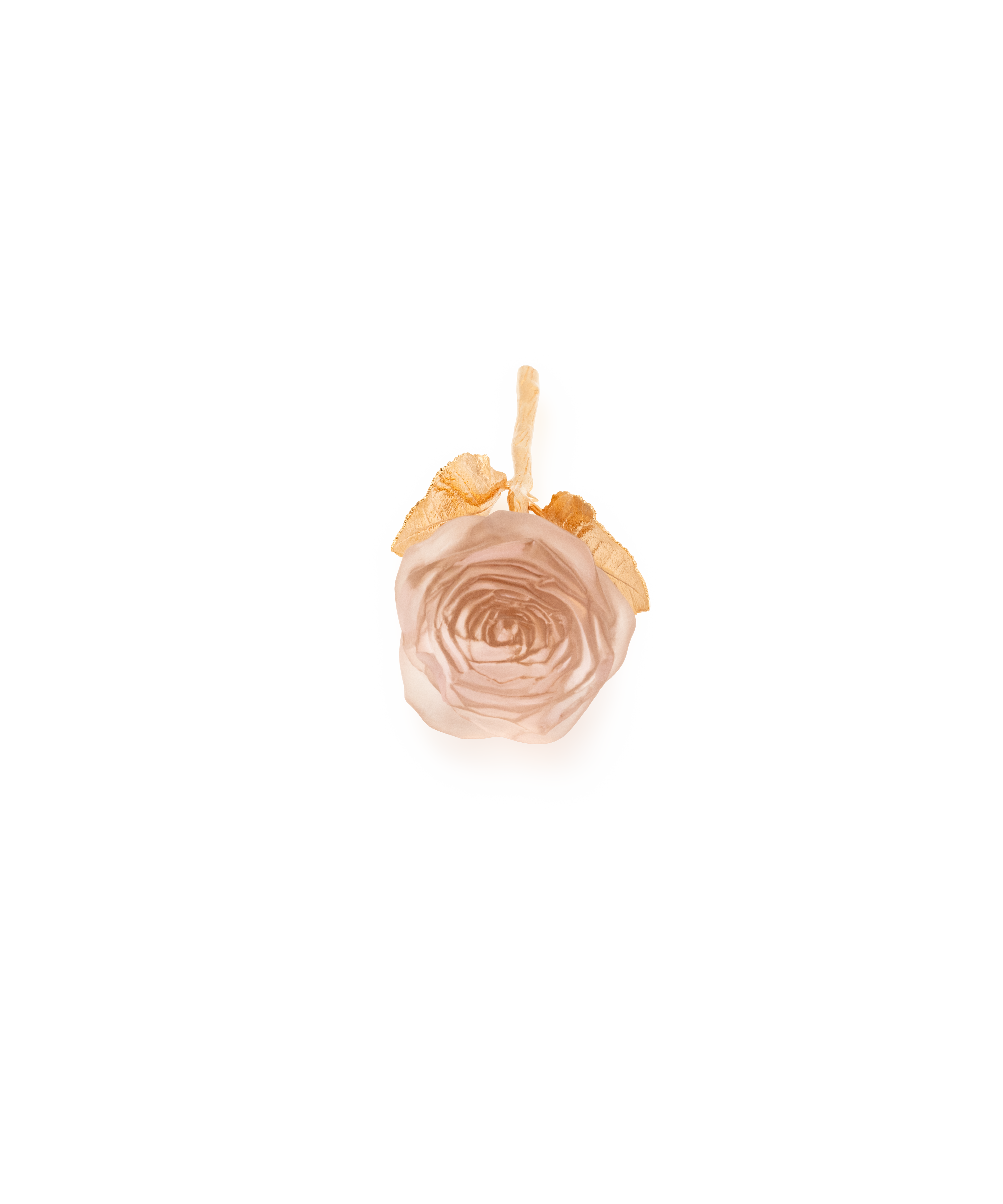 daum-univers-v-g-tal-rose-eternelle-sculpture-rose-poudr image 3