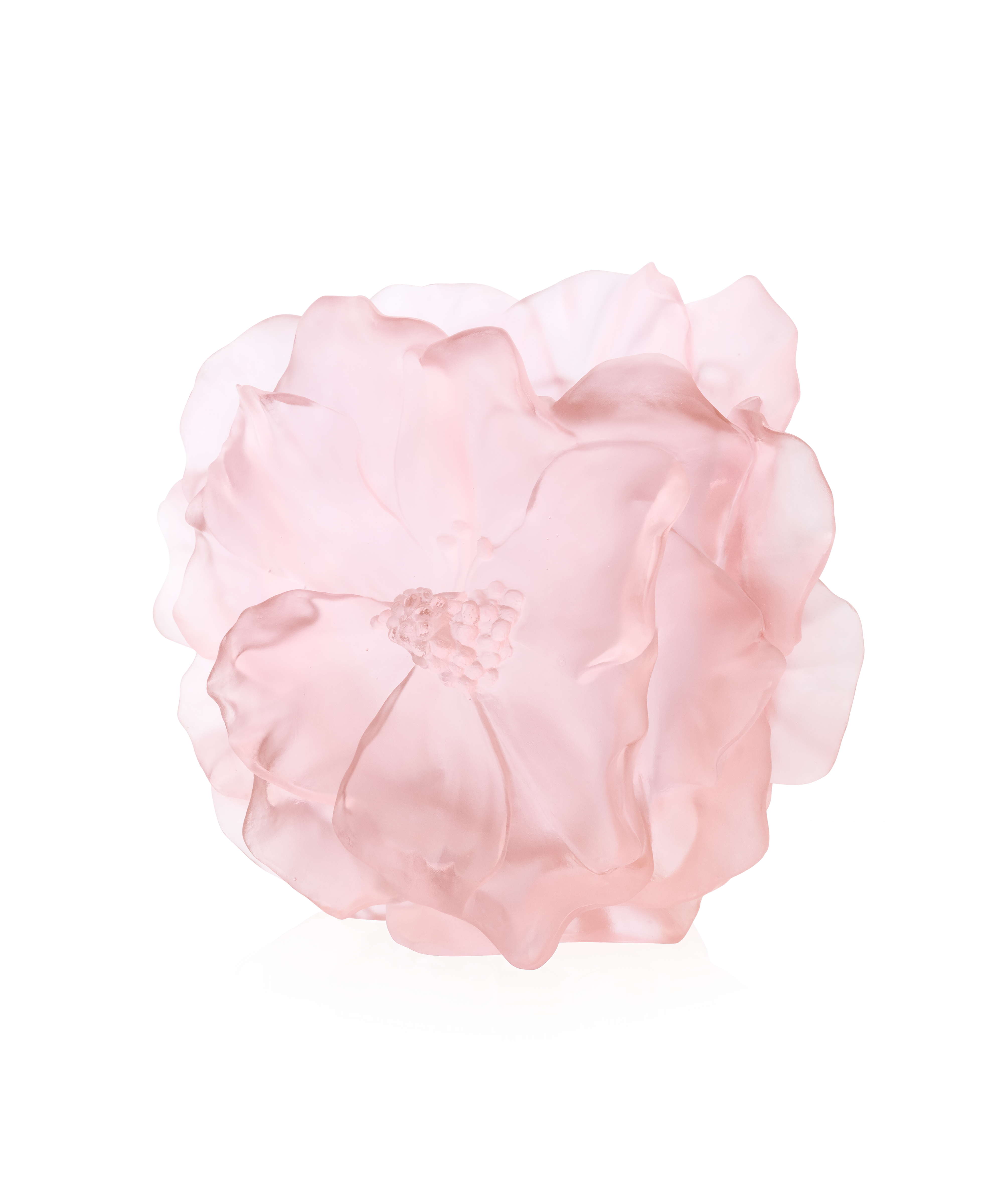 daum-univers-v-g-tal-camelia-vase-grand-mod-le-rose image 1
