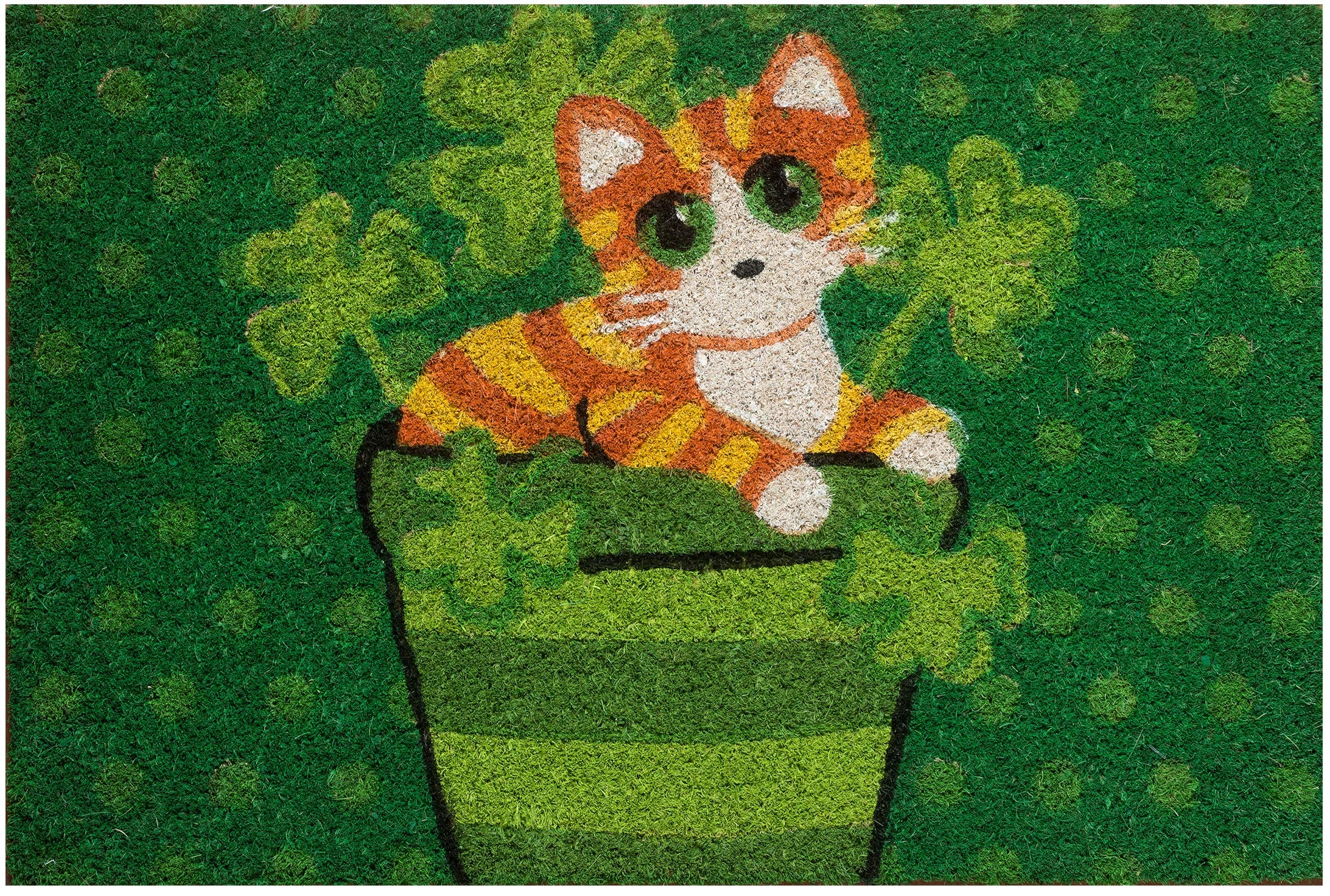 baroni-home-tessile-casa-paillasson-coco-chat-tigr-tr-fle-60x40 image 1