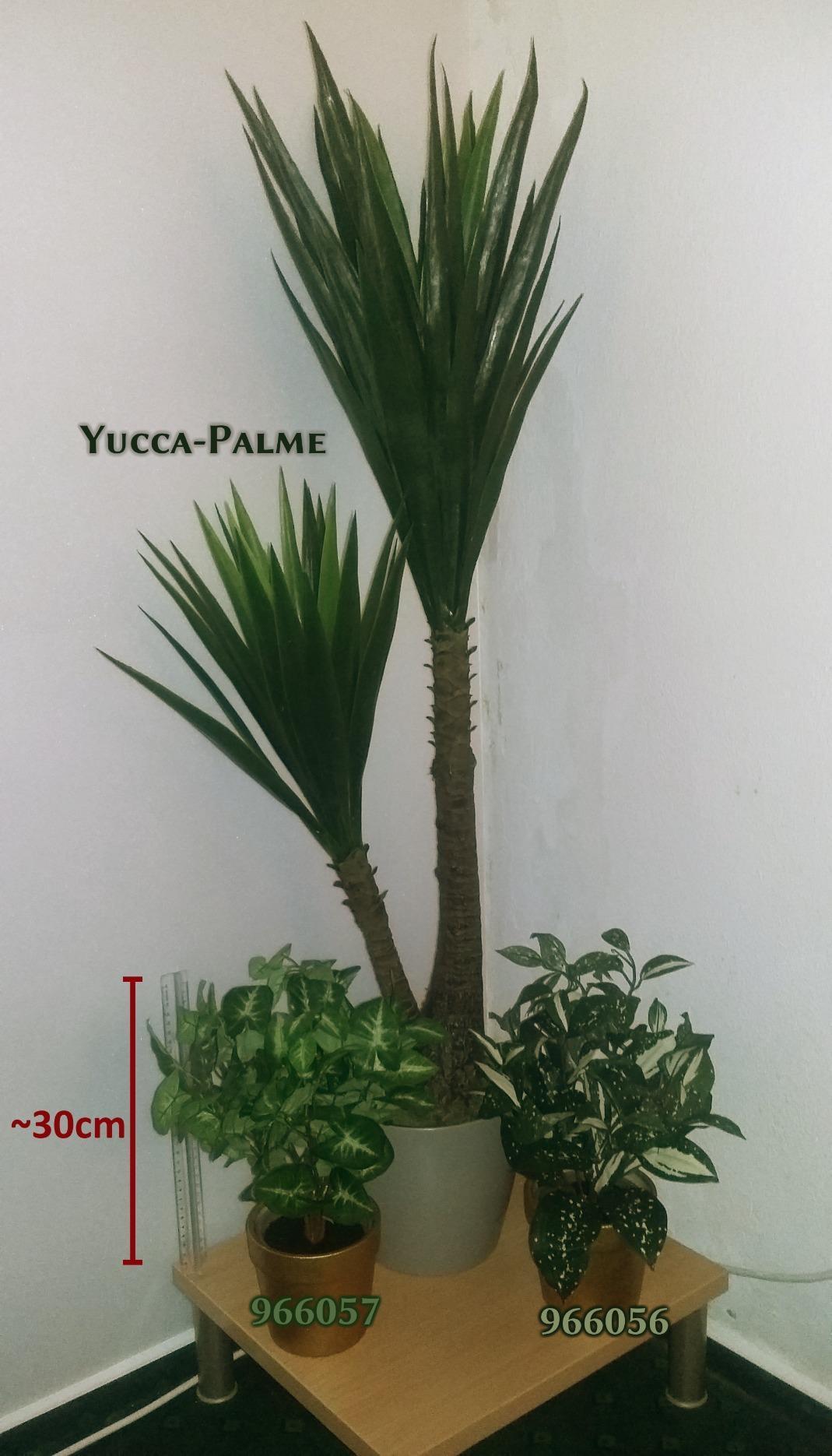 Bon rendu