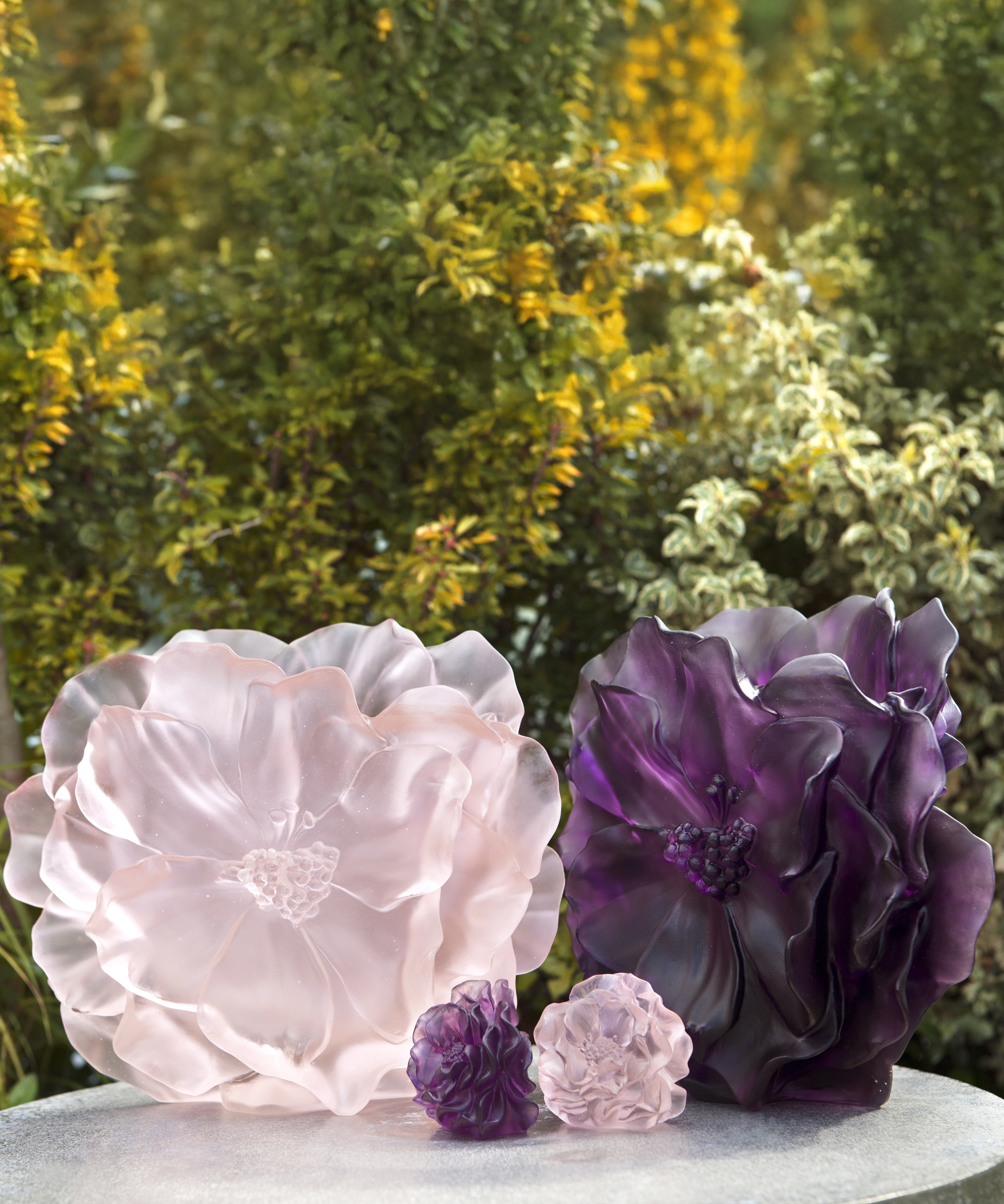 daum-univers-v-g-tal-camelia-vase-grand-mod-le-rose image 2