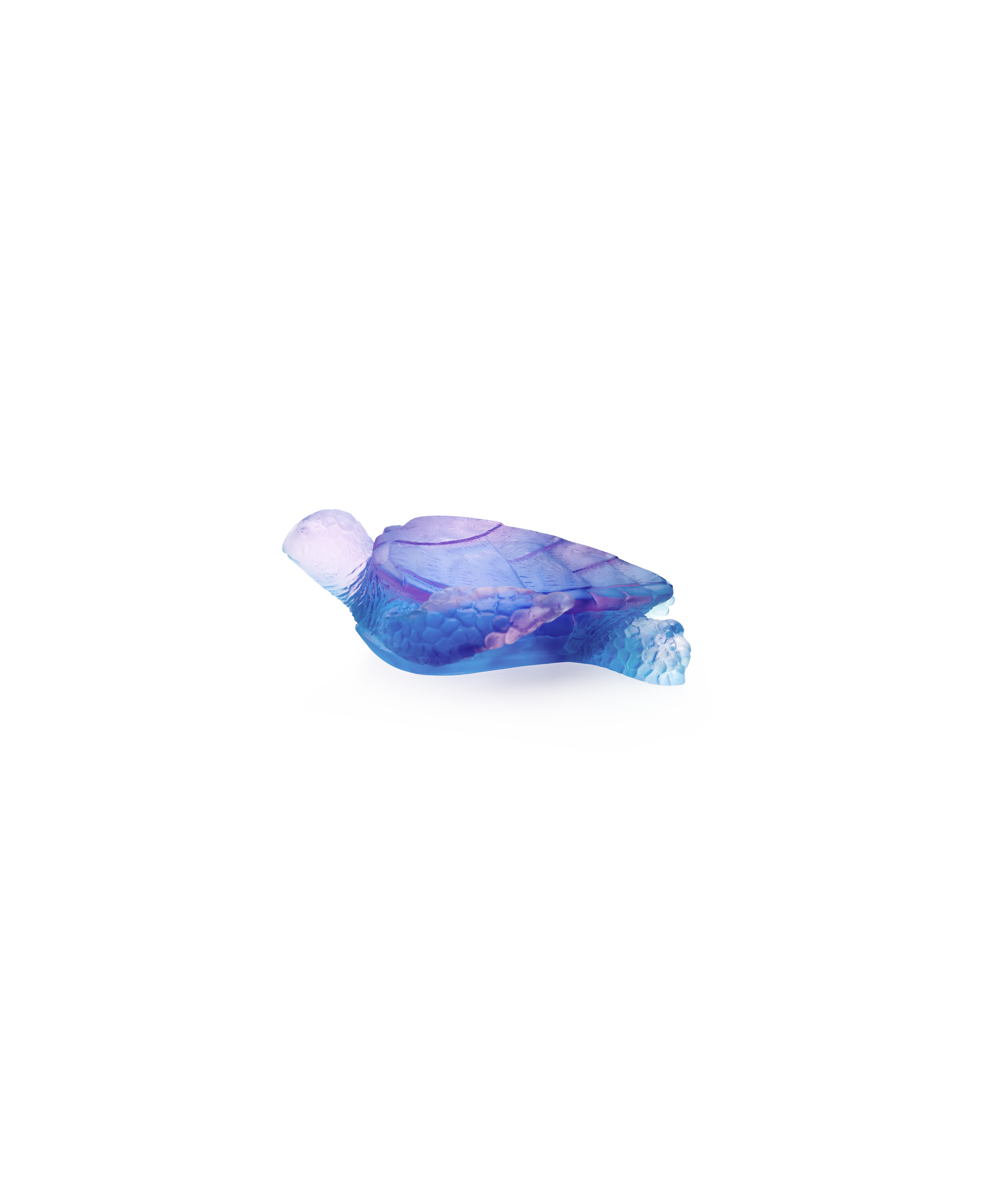daum-mer-de-corail-tortue-sculpture-bleu-rose-moyen image 1