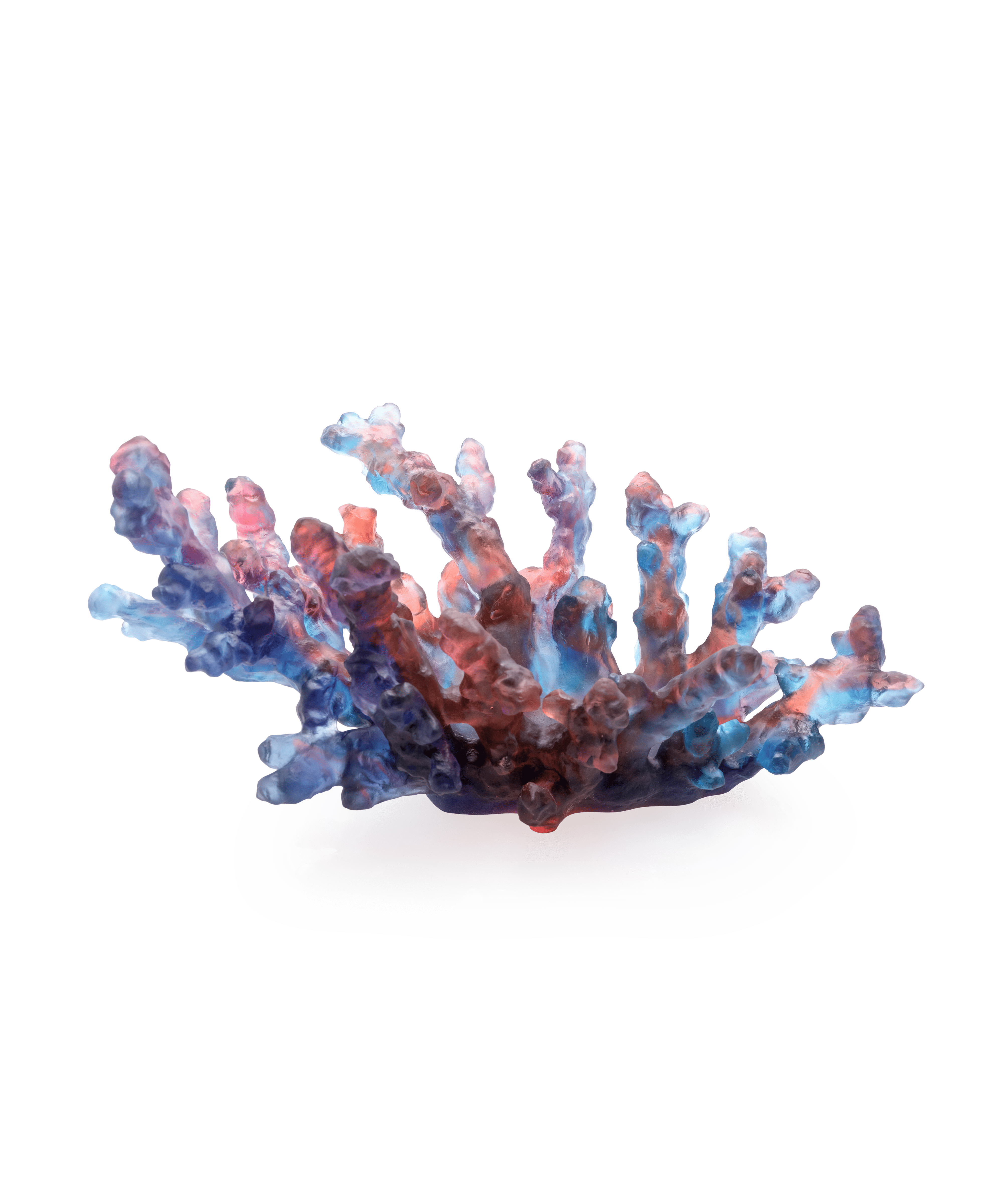daum-mer-de-corail-coupe-cristal-moyen-mod-le-bleu-rouge image 1