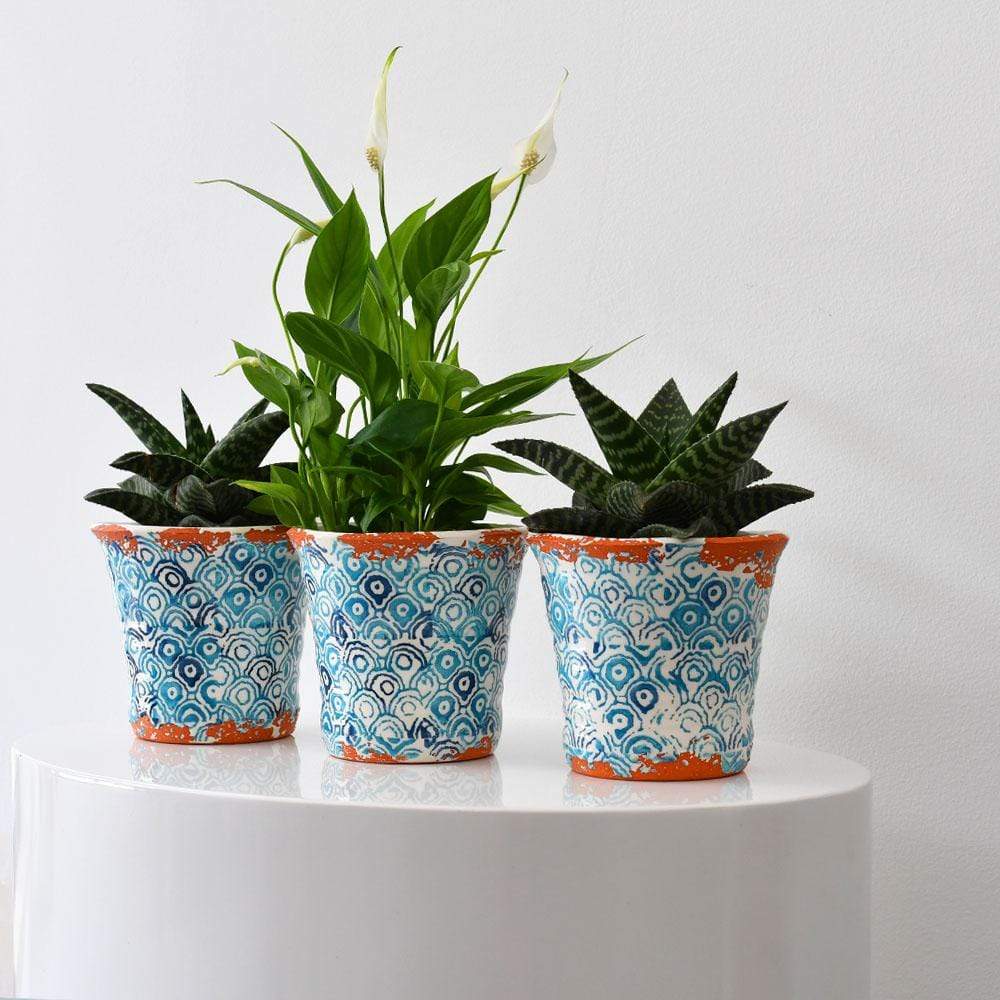 luisa-paix-o-alentejo-cache-pot-terre-cuite-turquoise-12cm image 8