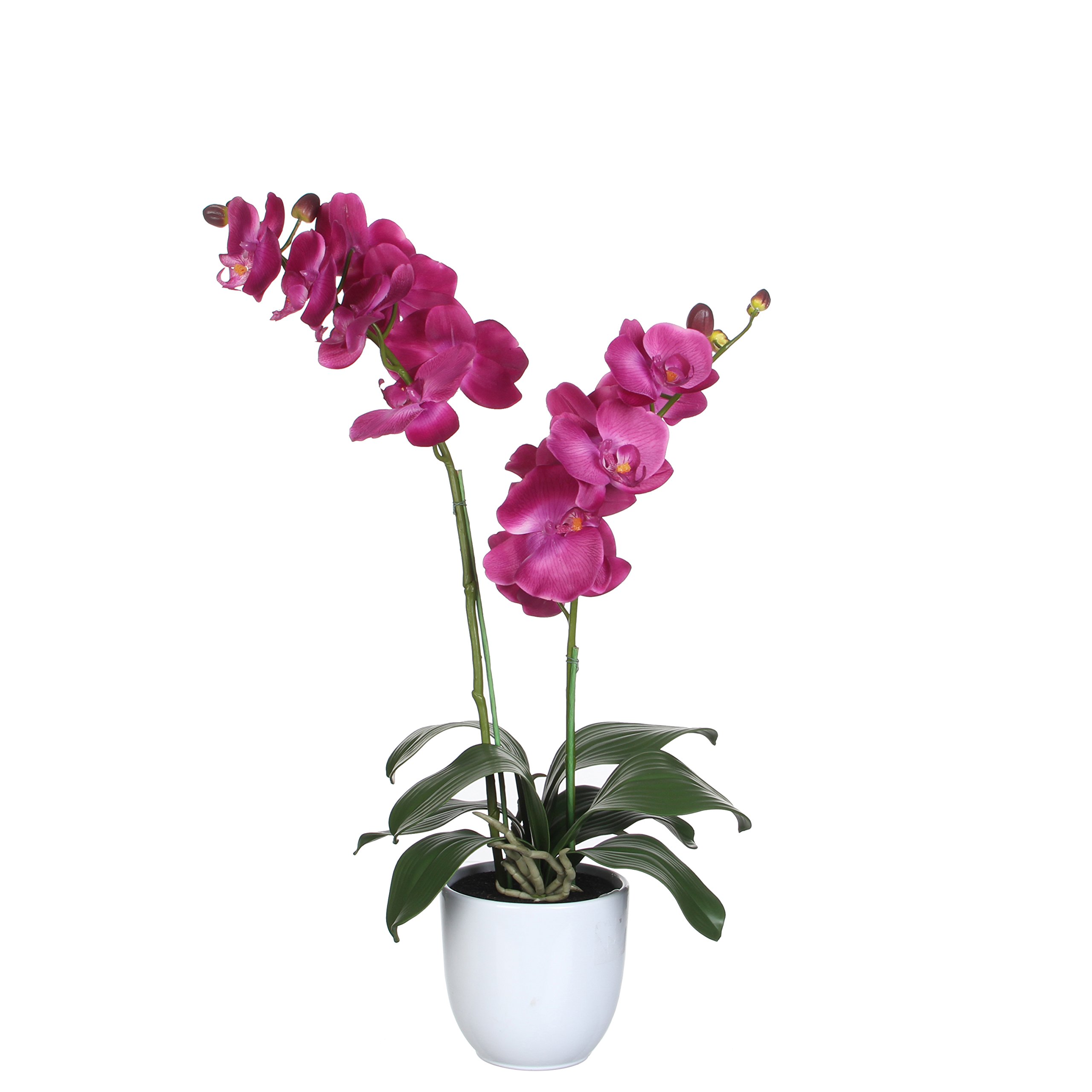 mica-decorations-phalaenopsis-orchid-e-artificielle-cr-me-66-cm image 8