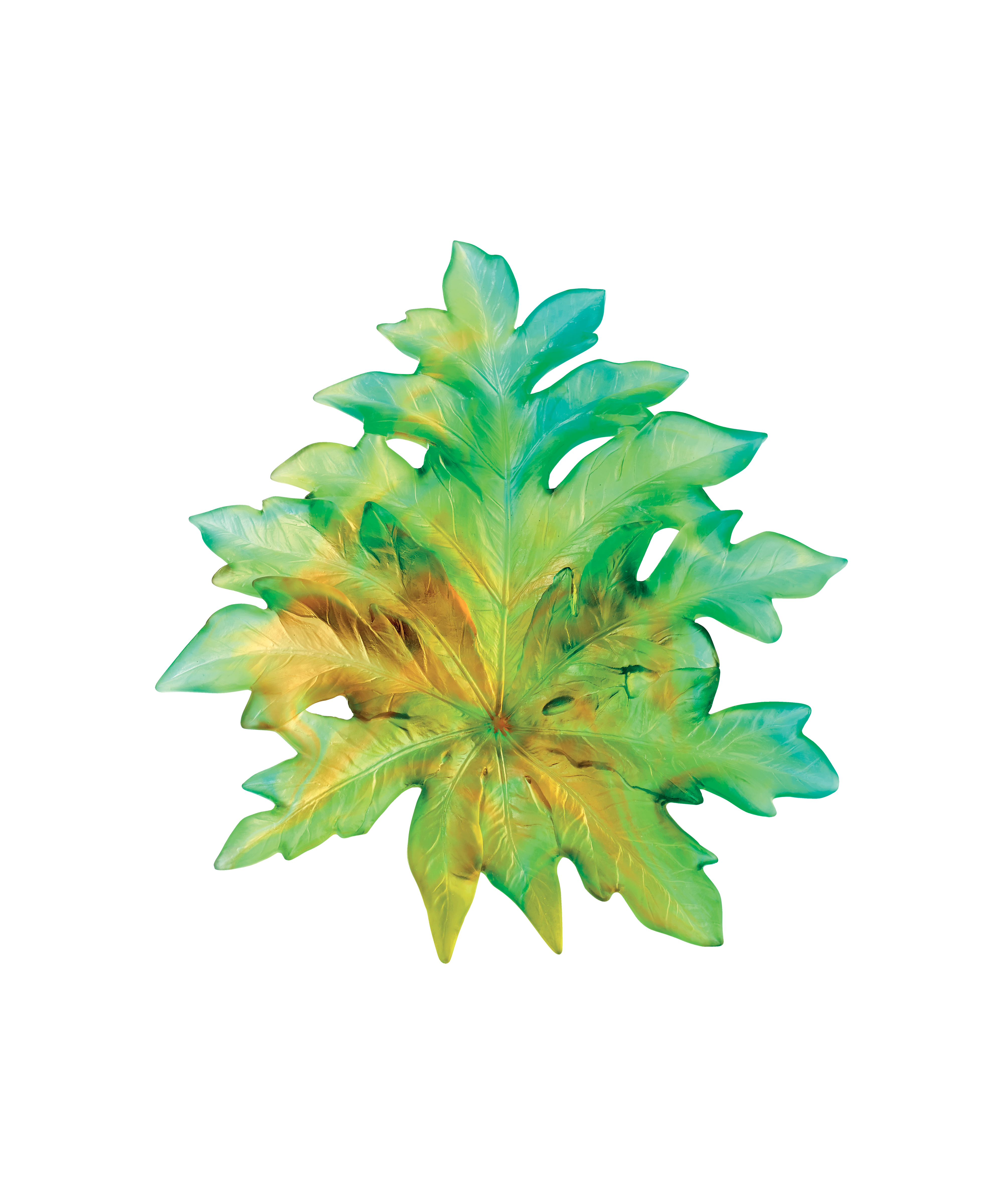 daum-born-o-feuille-murale-verte-petit-mod-le-robba image 1