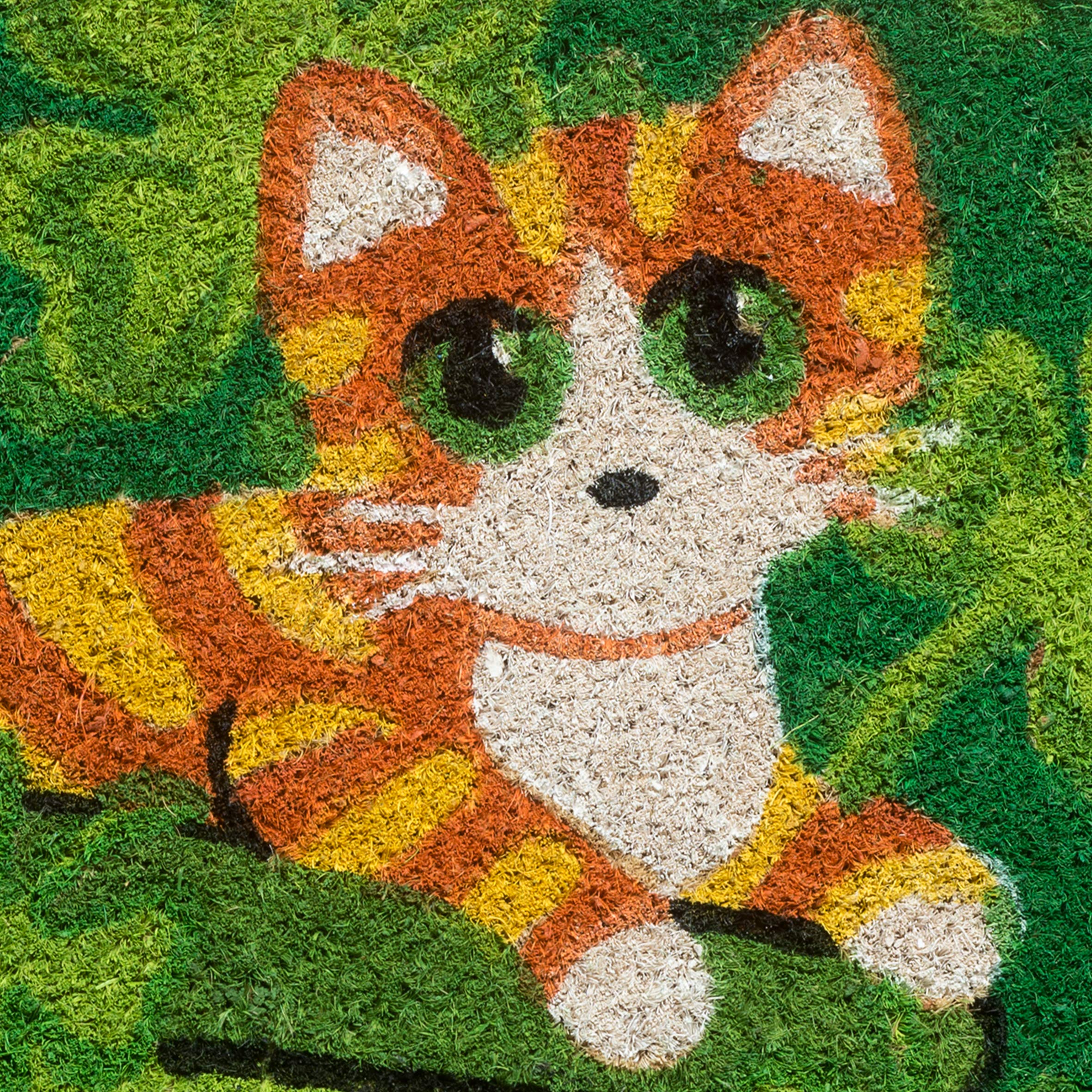 baroni-home-tessile-casa-paillasson-coco-chat-tigr-tr-fle-60x40 image 4