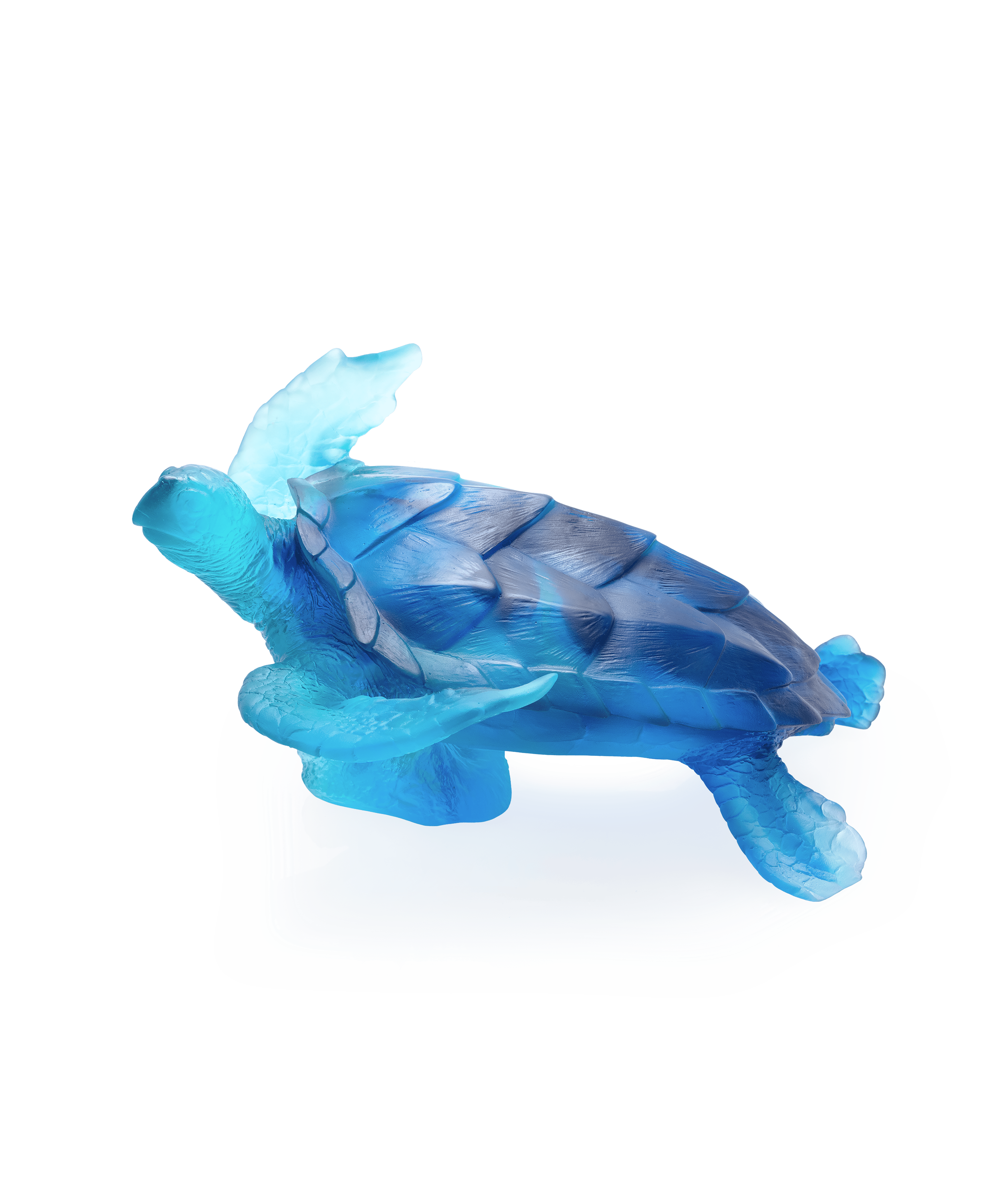 daum-mer-de-corail-tortue-sculpture-bleue-grand-mod-le image 1