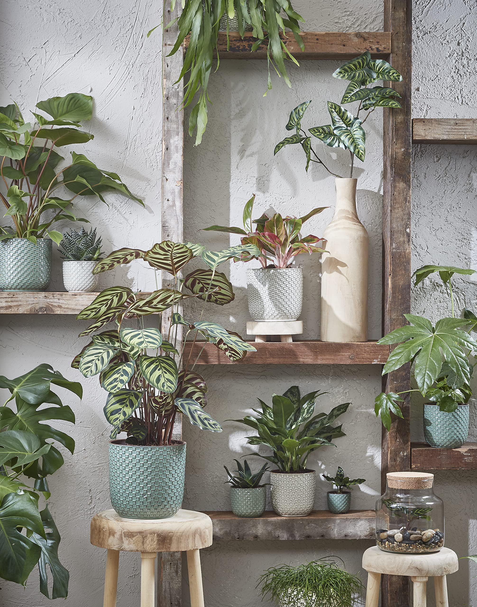mica-decorations-daan-pot-rond-fleurs-1092117 image 4