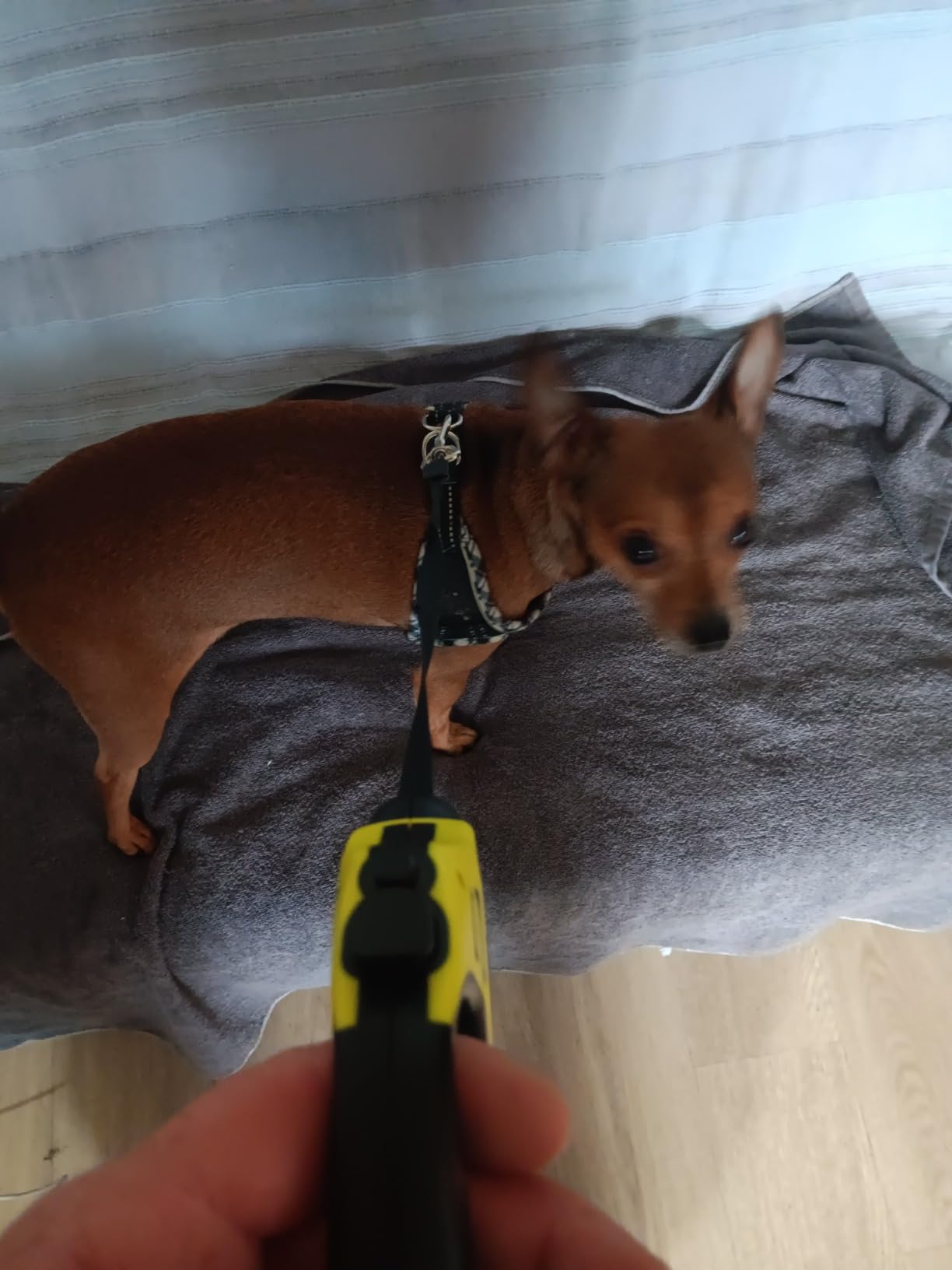 Bonne prise