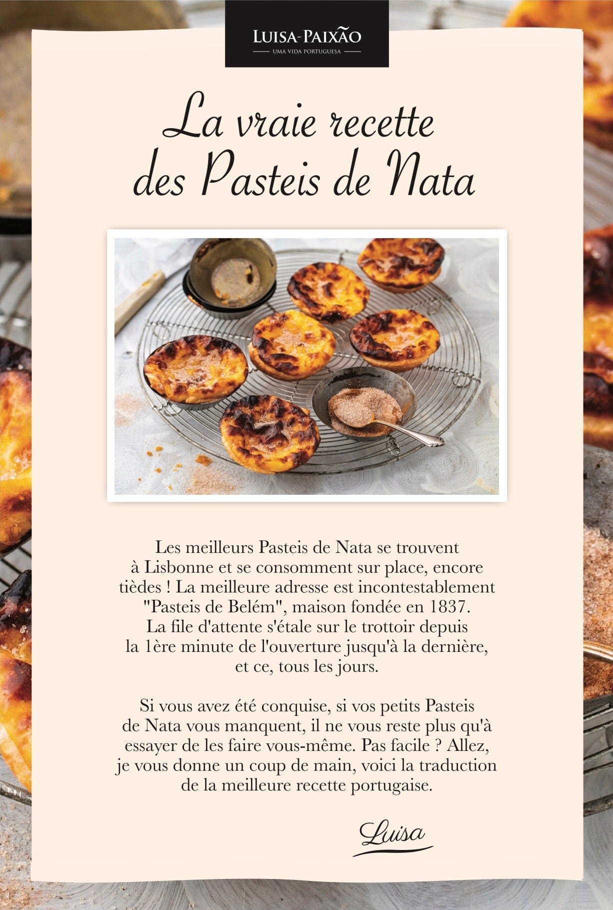 luisa-paix-o-kit-pasteis-de-nata-8-moules-alu-cannelle image 5