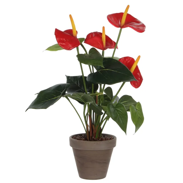 mica-decorations-artificial-plants-anthurium-rouge-artificiel image 1
