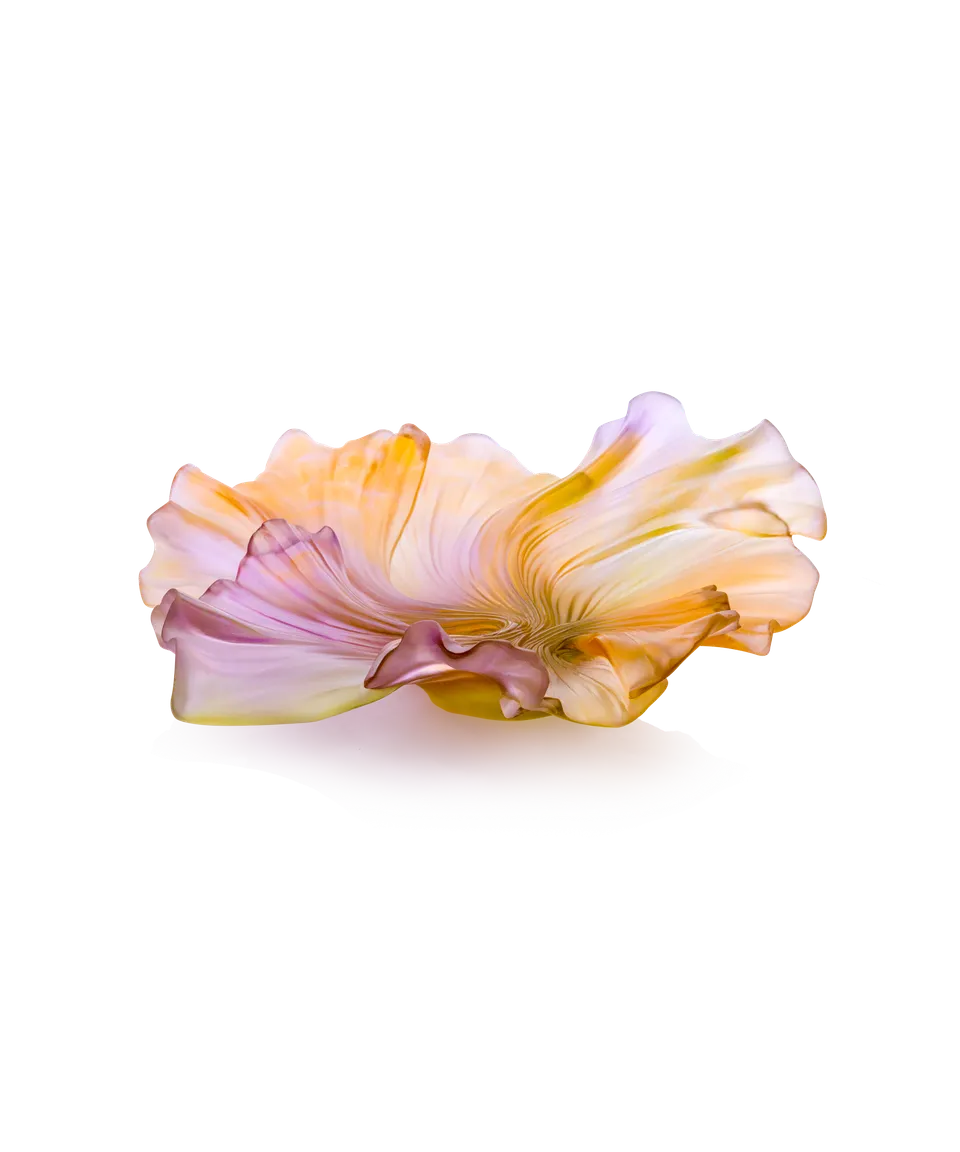 daum-univers-v-g-tal-croisi-re-coupe-moyen-mod-le-rose image 1
