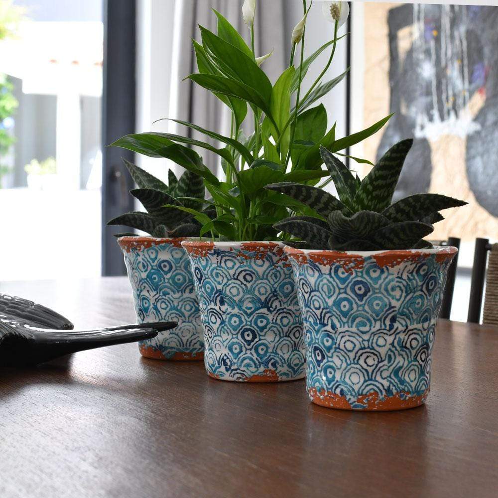 luisa-paix-o-alentejo-cache-pot-terre-cuite-turquoise-12cm image 6