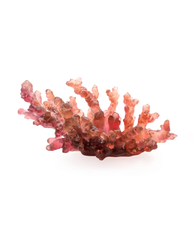 daum-mer-de-corail-coupe-moyen-mod-le-ambre-rouge-p-te-de-verre image 1