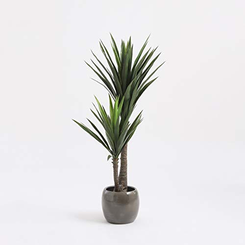mica-decorations-lester-pot-fleurs-gris-h26-x-28-cm-terre-cuite image 8