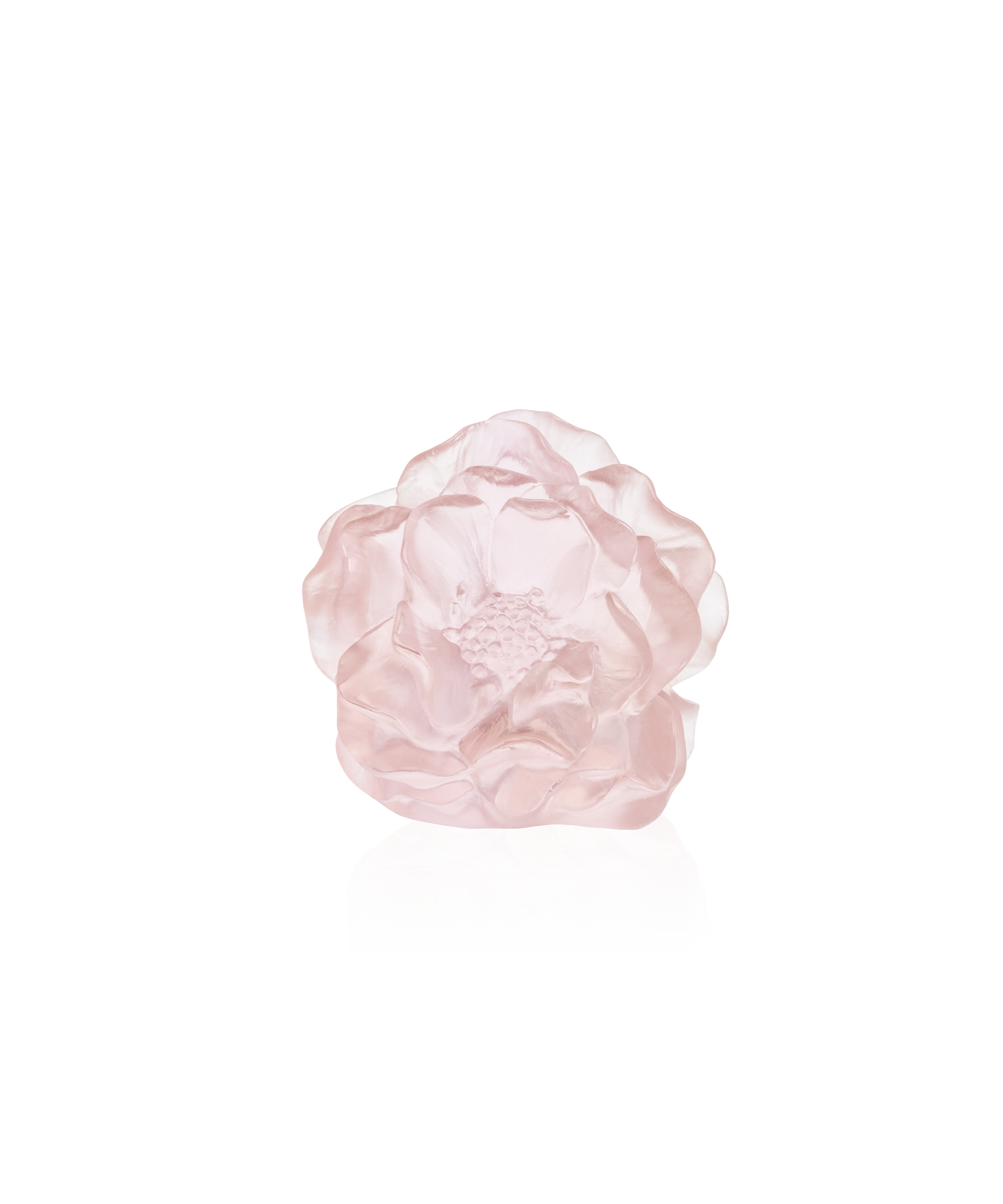 daum-univers-v-g-tal-camelia-fleur-d-corative-rose image 3