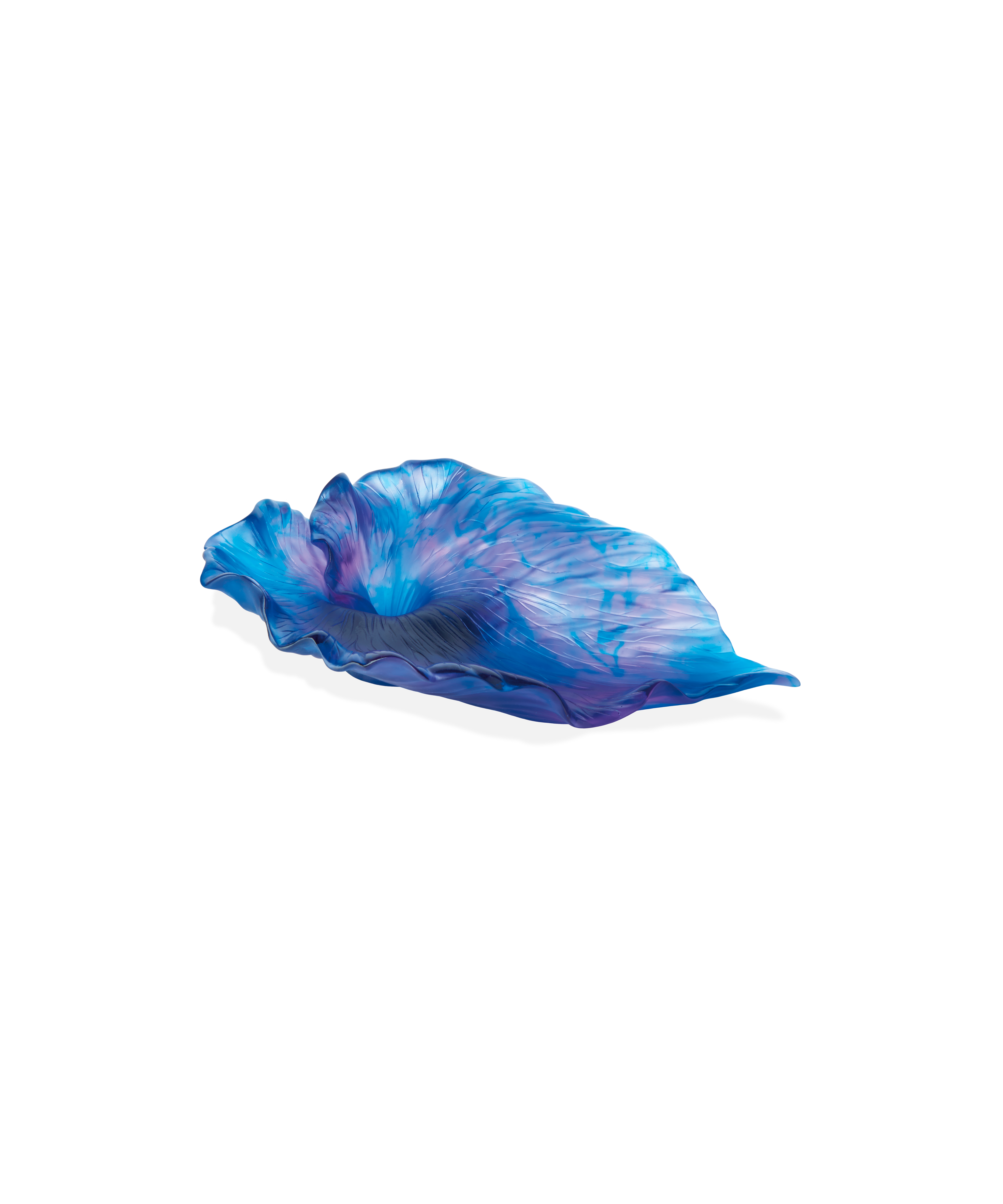 daum-univers-v-g-tal-arum-coupe-bleu-nuit-p-te-de-verre image 1