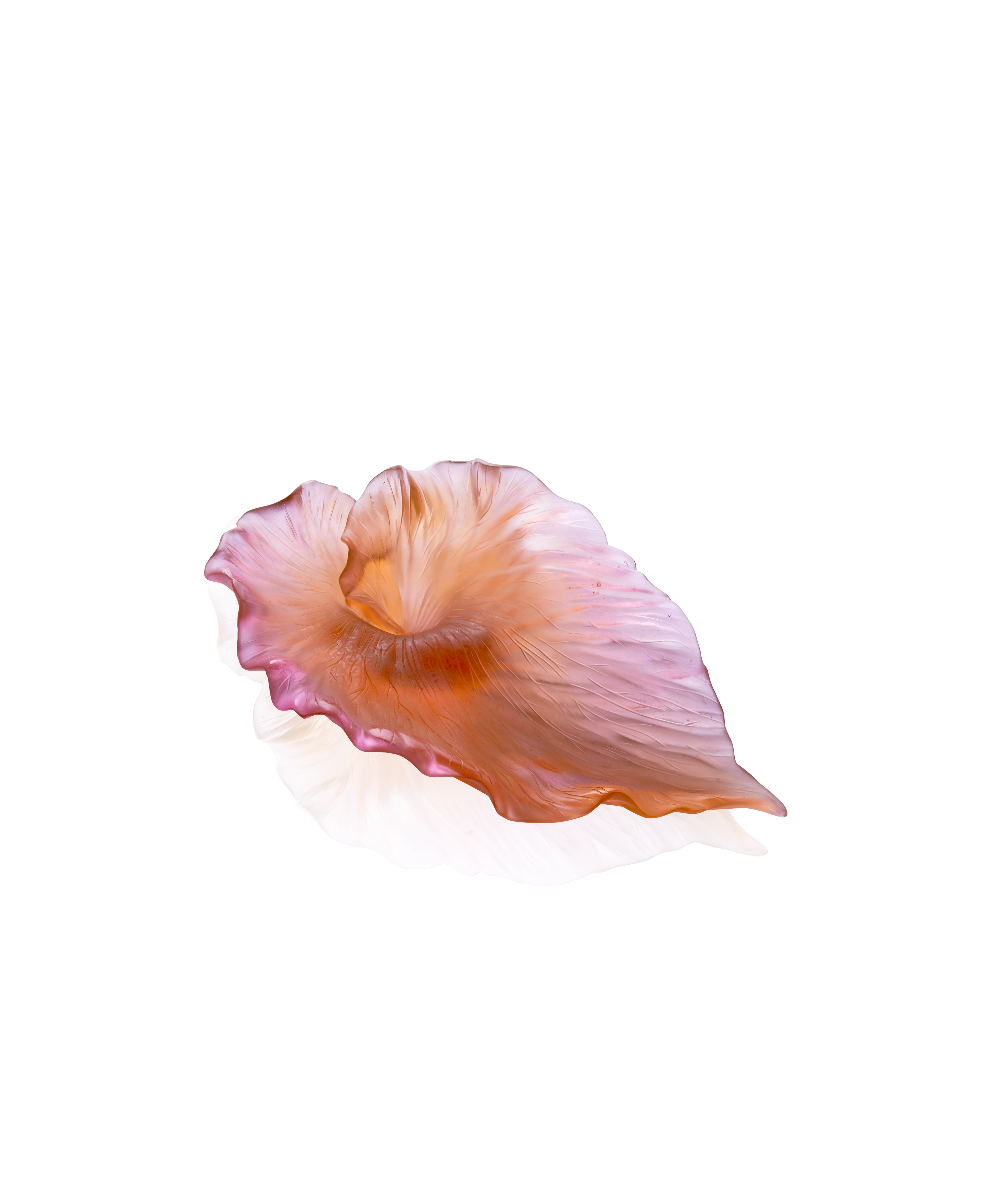 daum-univers-v-g-tal-arum-coupe-ambre-rose-p-te-de-verre image 1