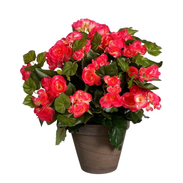 mica-decorations-b-gonia-artificiel-rose-fonc-37-cm-pot image 1