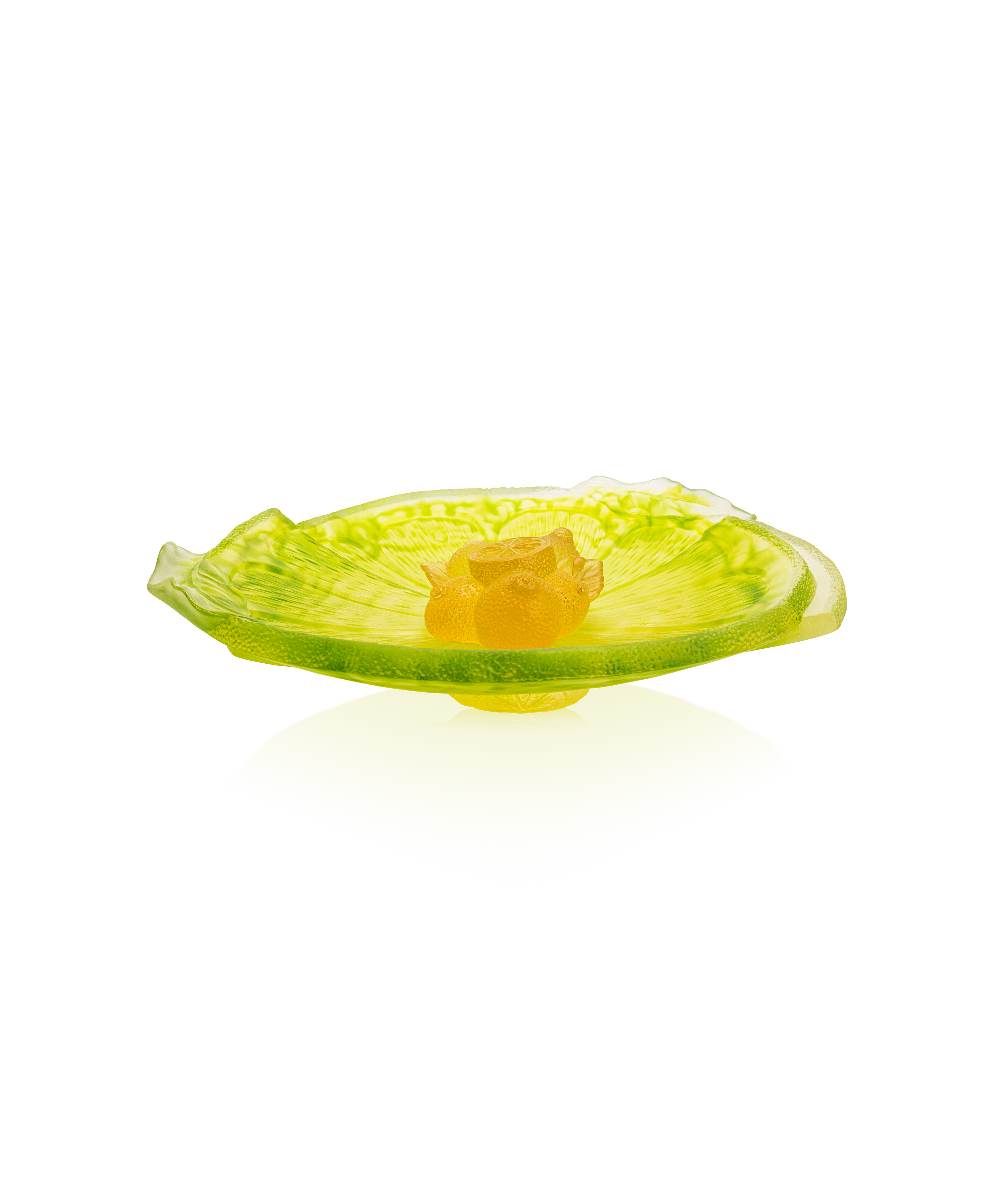 daum-univers-v-g-tal-citrus-coupe-sur-pied-225-ex image 1