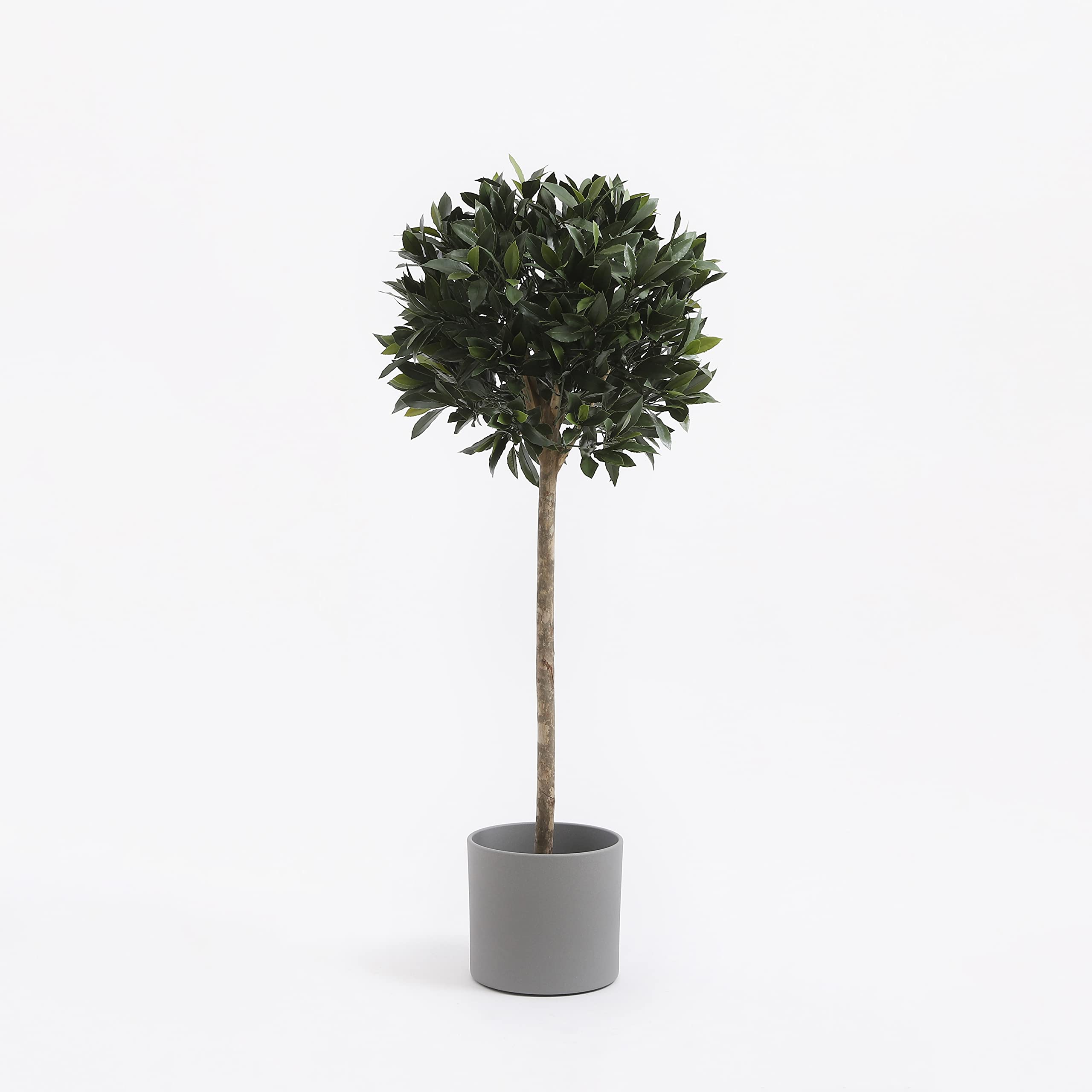 mica-decorations-era-pot-fleurs-c-ramique-gris-26-x-28-cm image 7